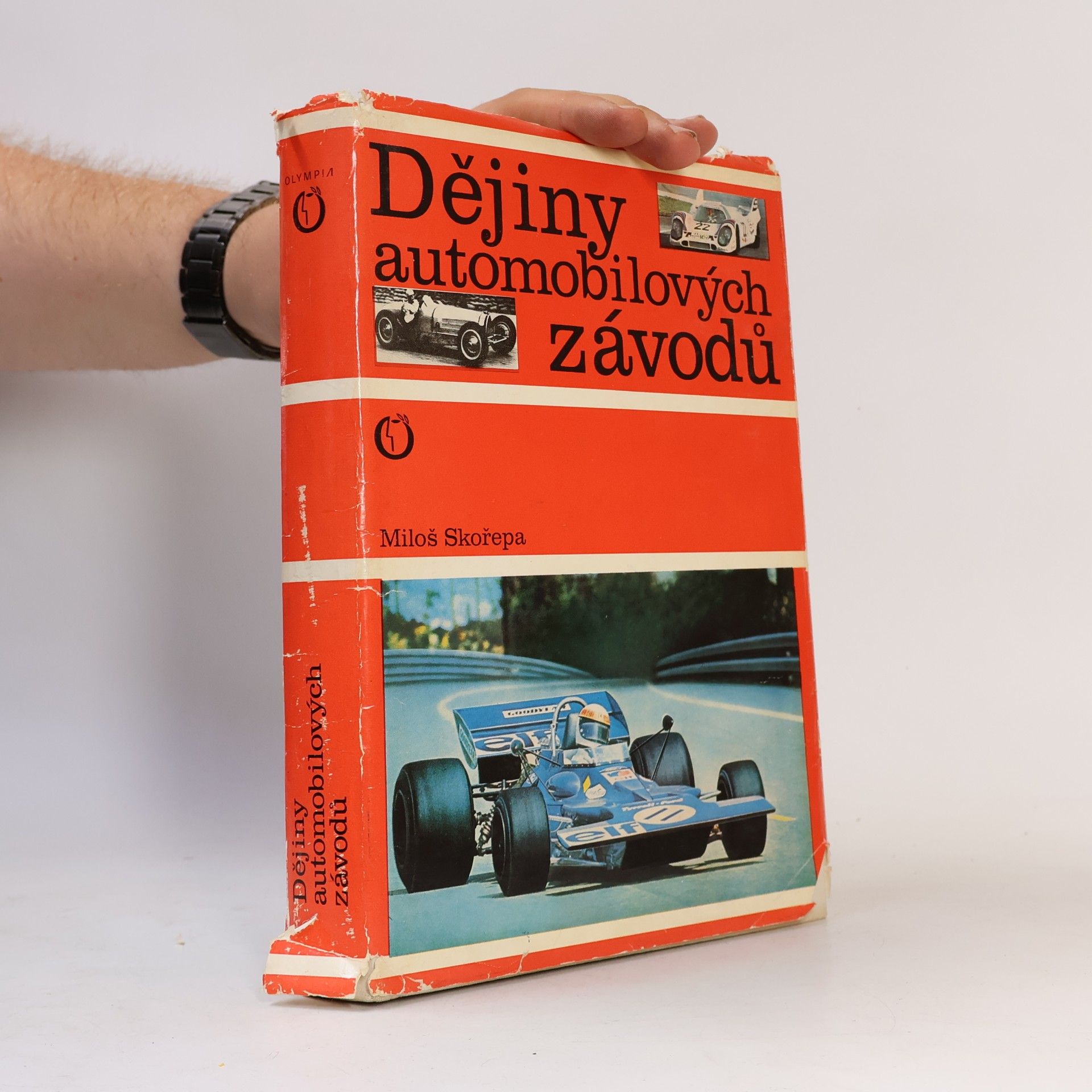 Miloš Skořepa Dějiny automobilových závodů