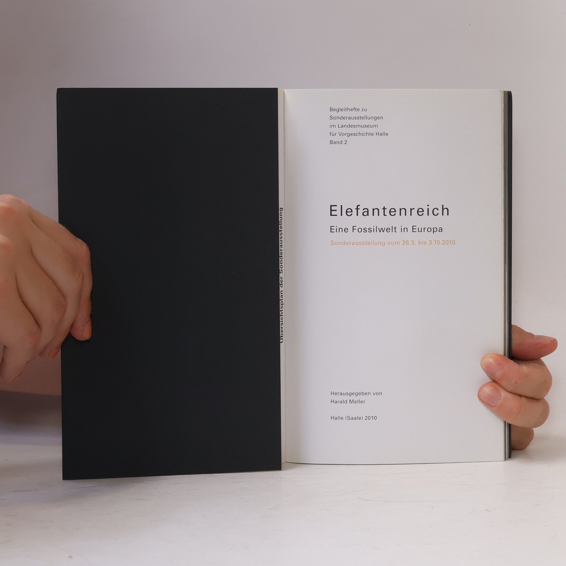 Autorenkollektiv Elefantenreich : Eine Fossilwelt in Europa