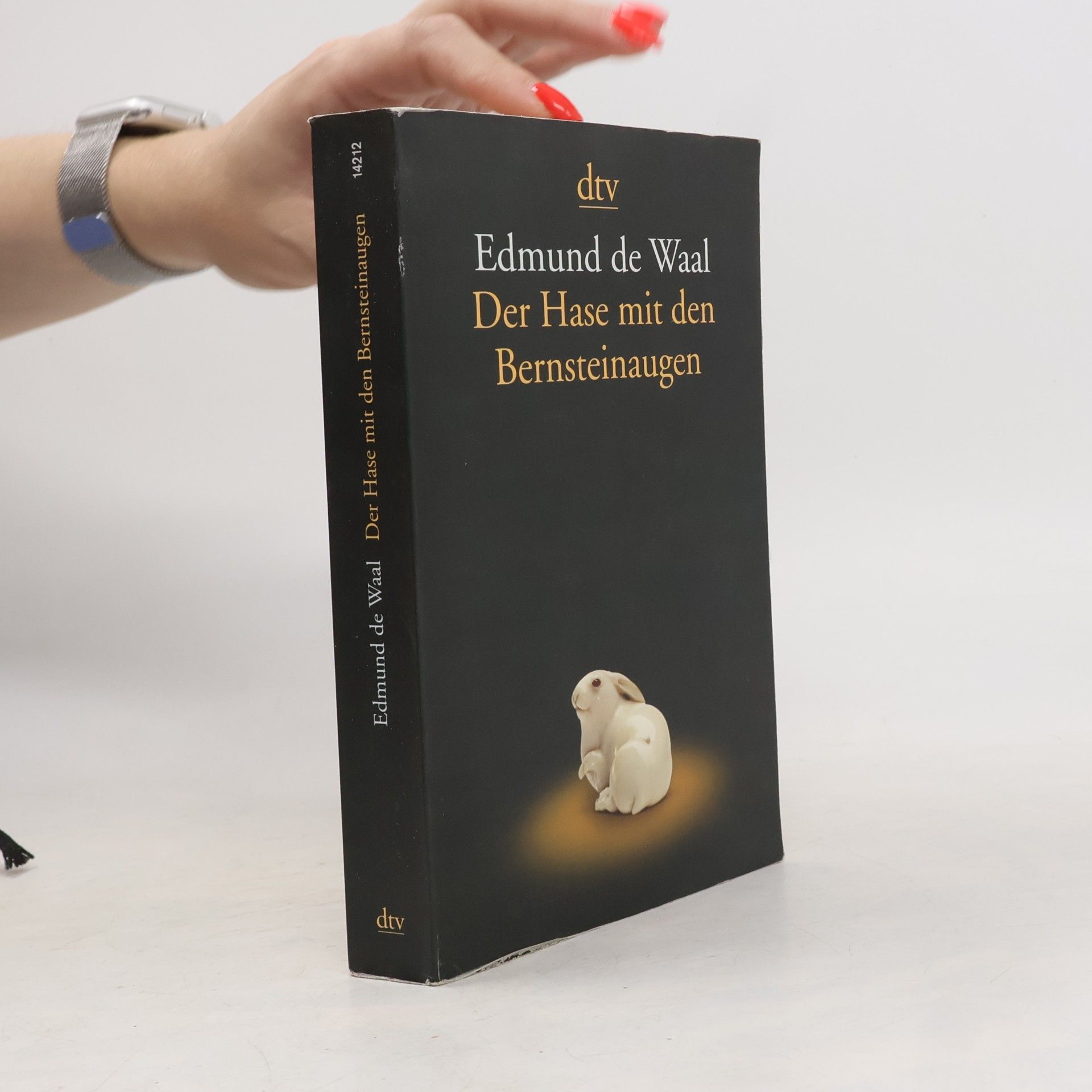 Edmund de Waal Der Hase mit den Bernsteinaugen
