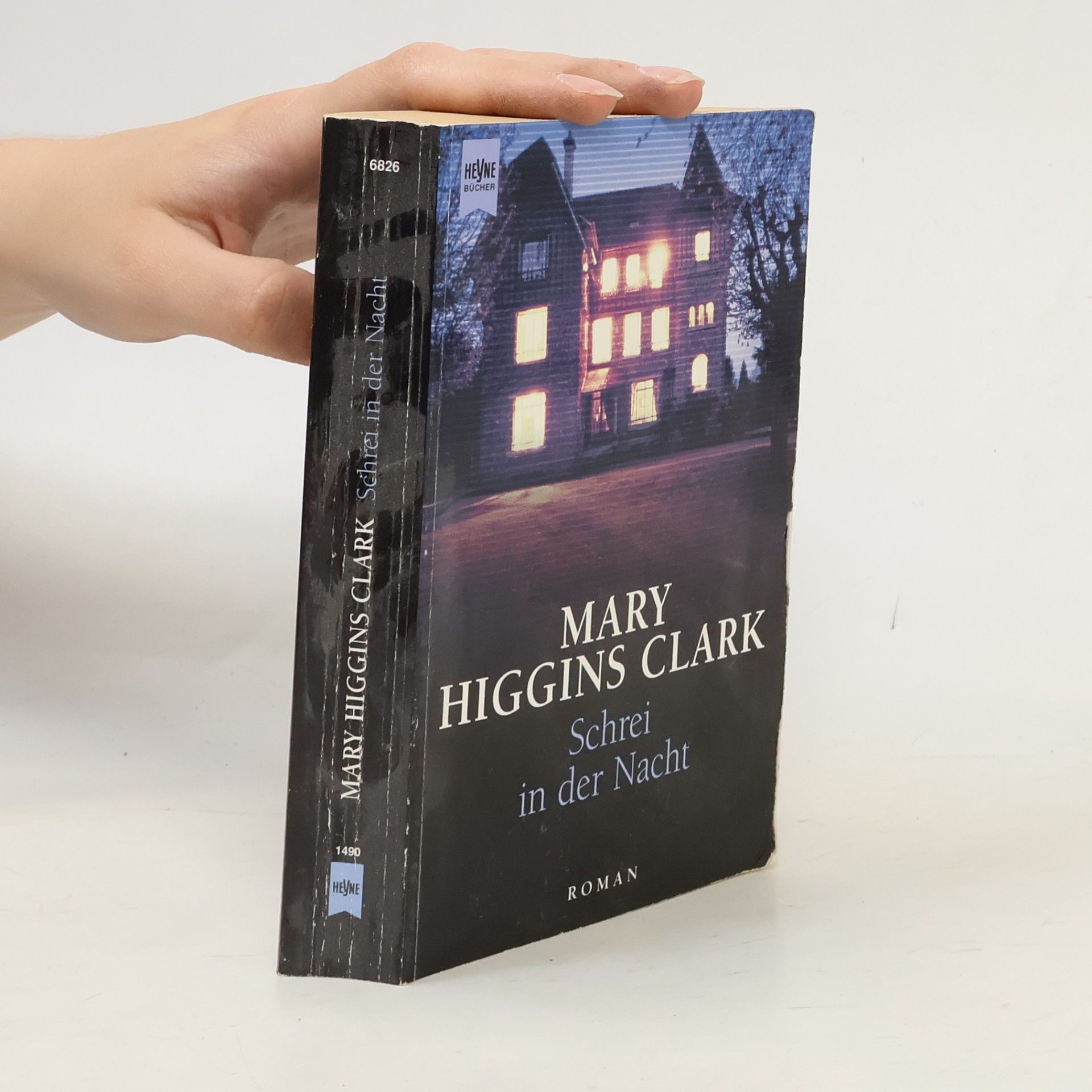 Mary Higginsová Clarková Schrei in der Nacht
