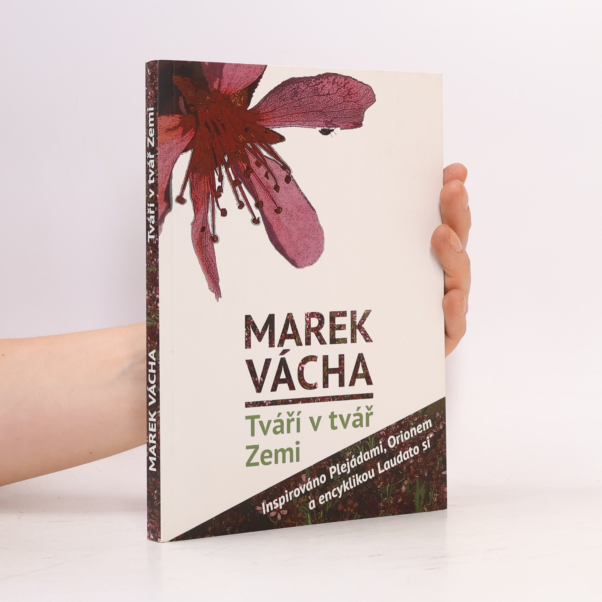 Marek Vácha Tváří v tvář Zemi