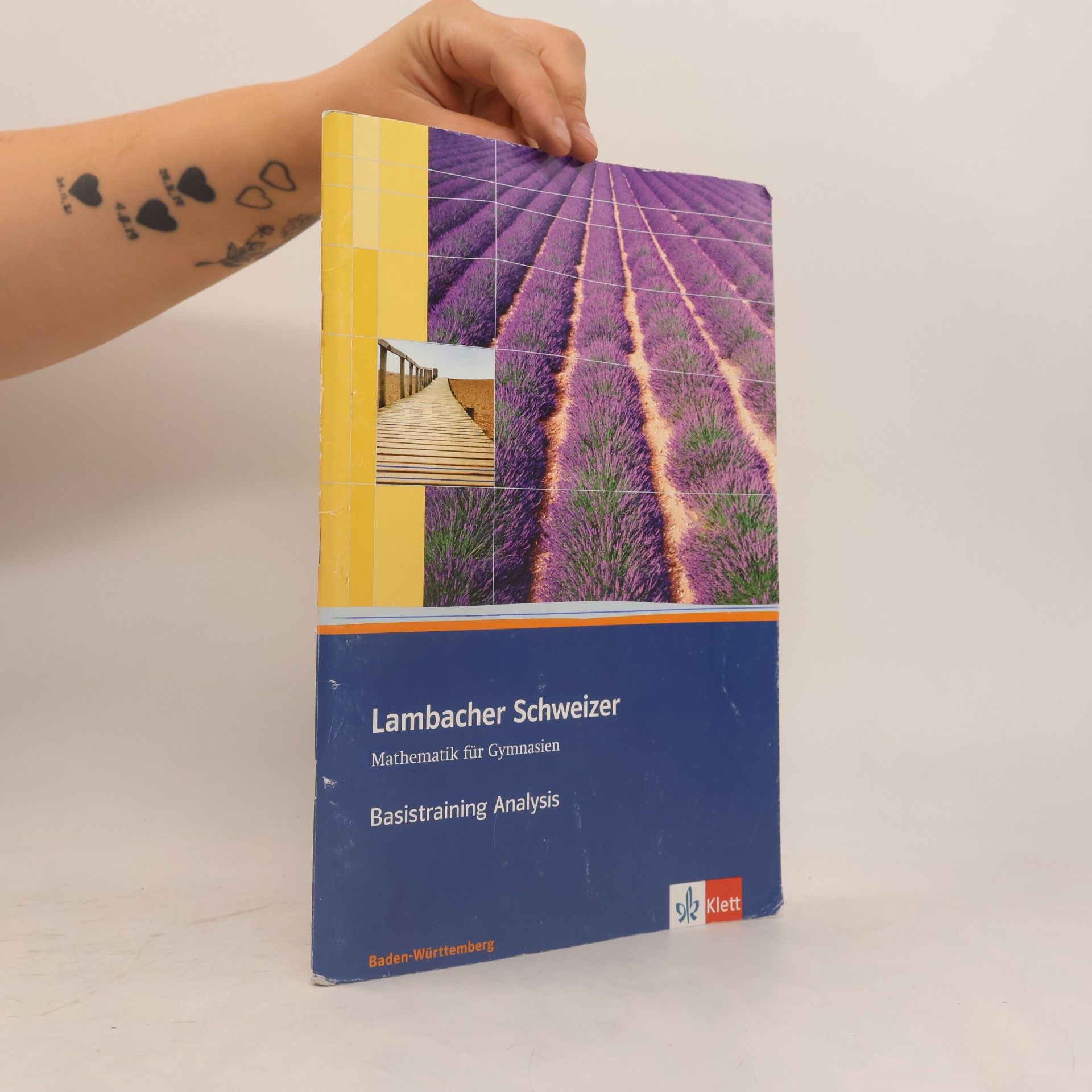 Autorenkollektiv Lambacher Schweizer - Mathematik für Gymnasien