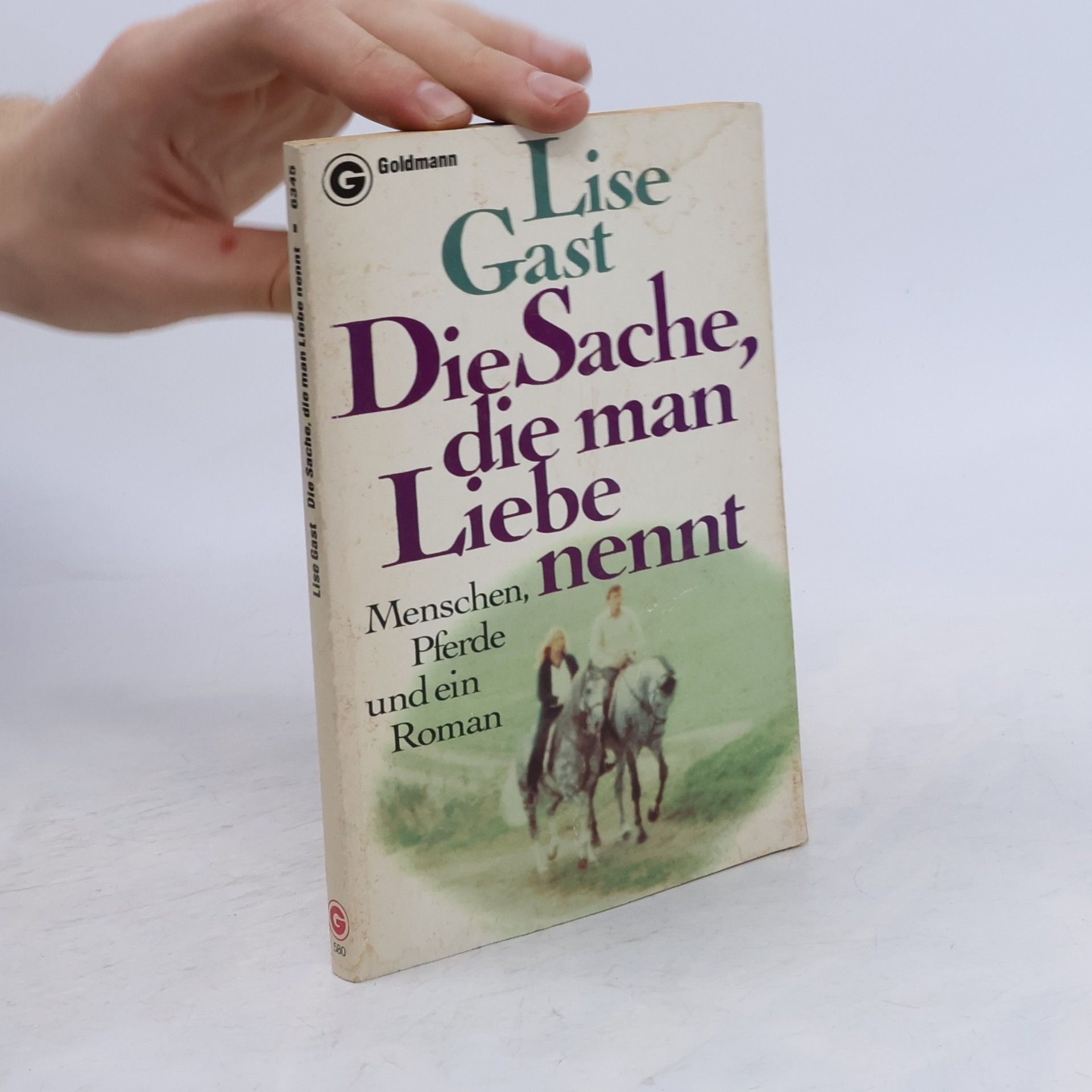 Lise Gast Die Sache, die man Liebe nennt. Menschen, Pferde und ein Roman.