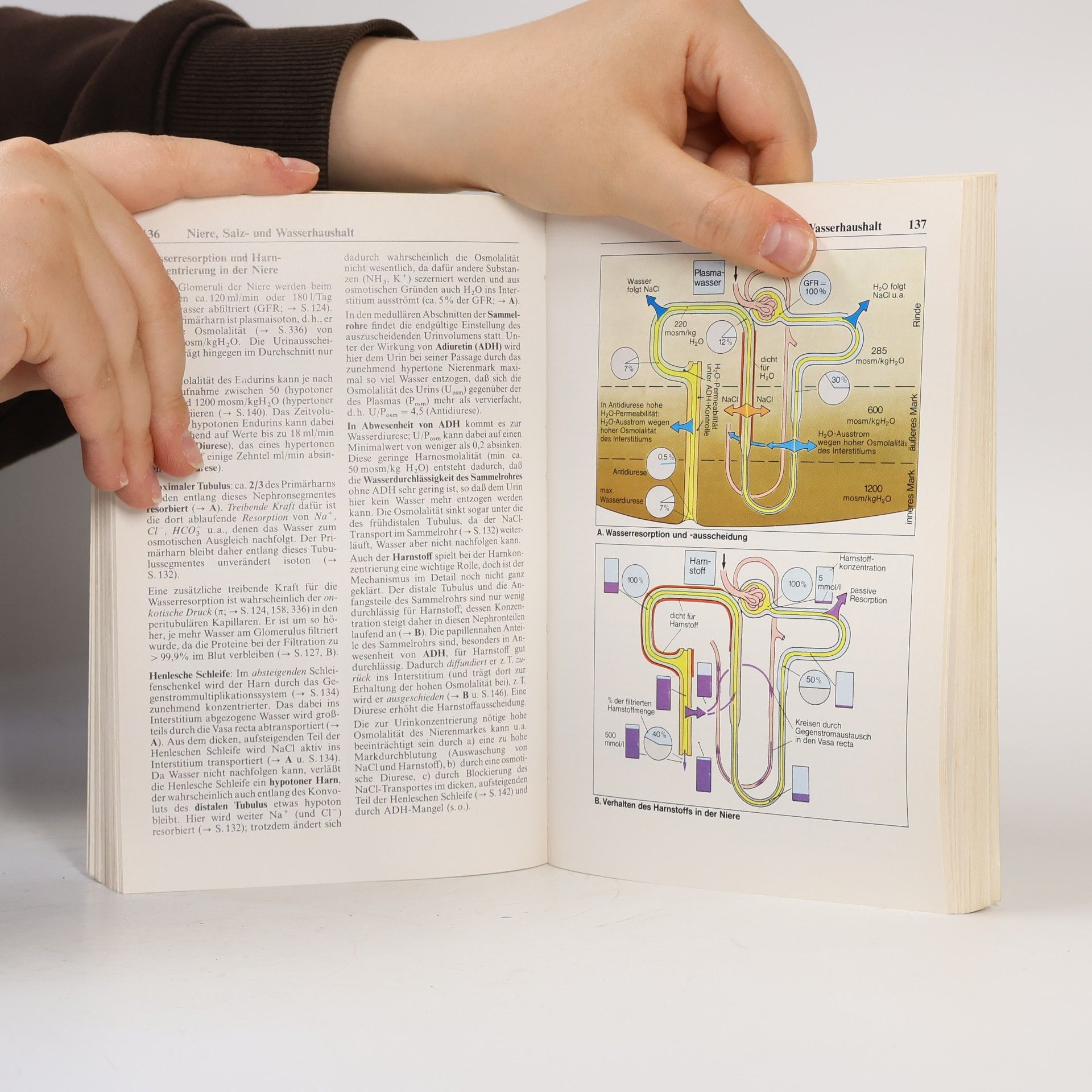 Stefan Silbernagl Taschenatlas der Physiologie