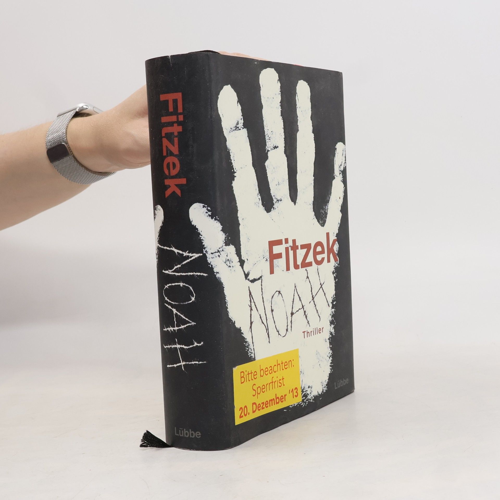 Sebastian Fitzek Noah
