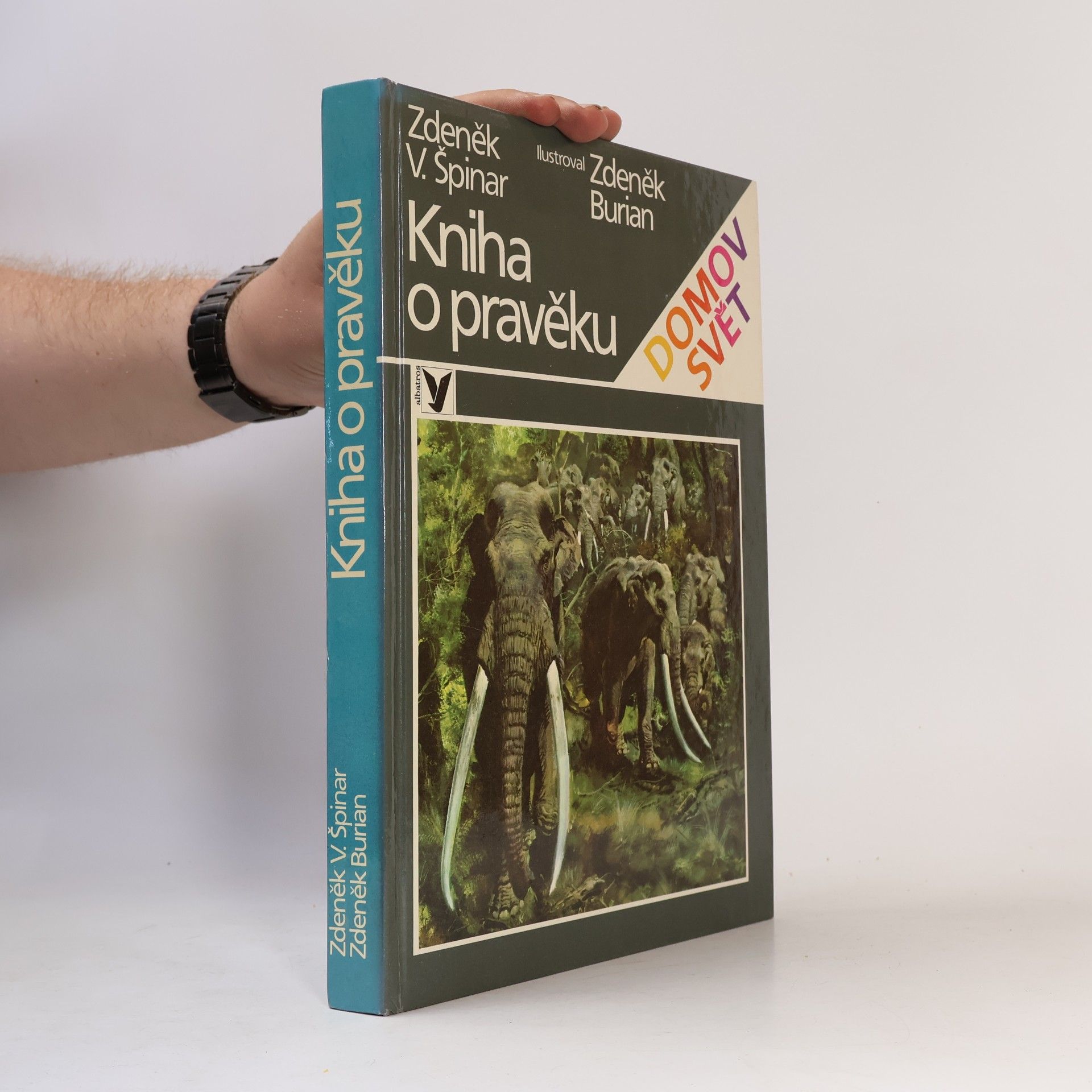 Kniha o pravěku