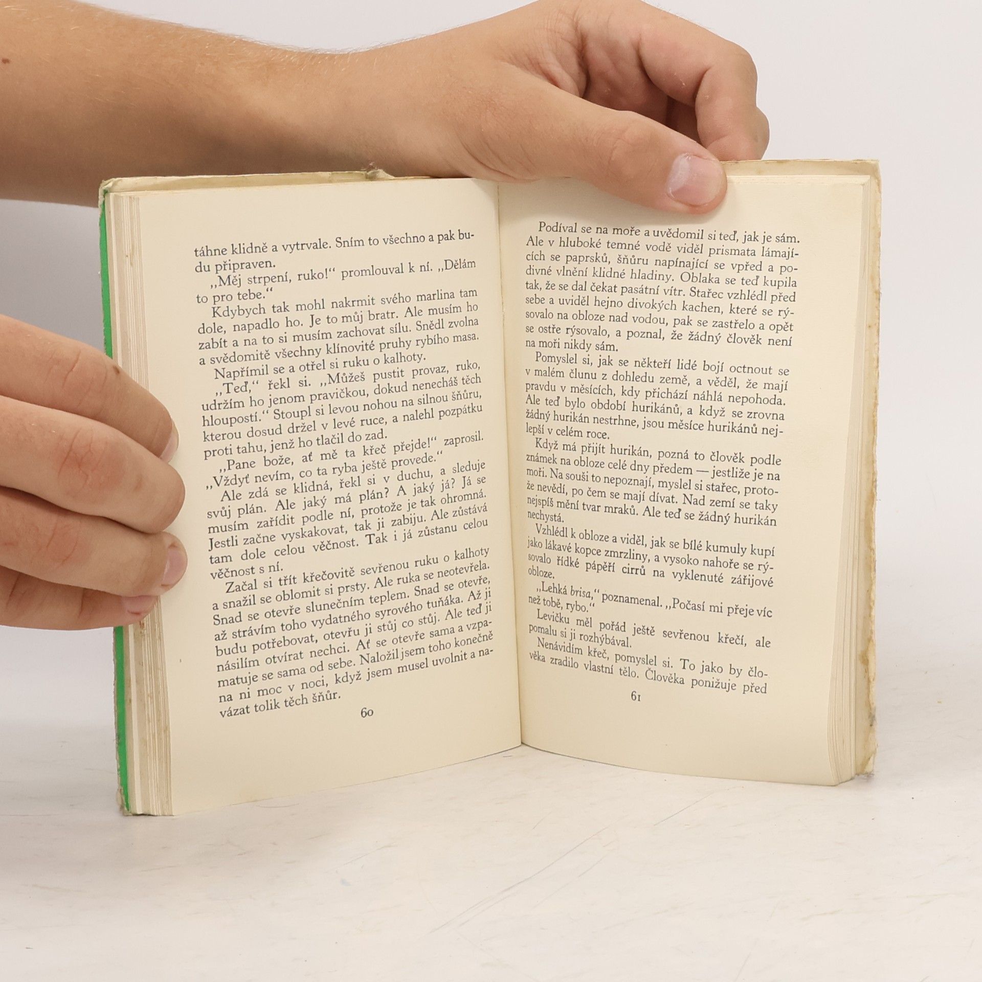 Ernest Hemingway Stařec a moře