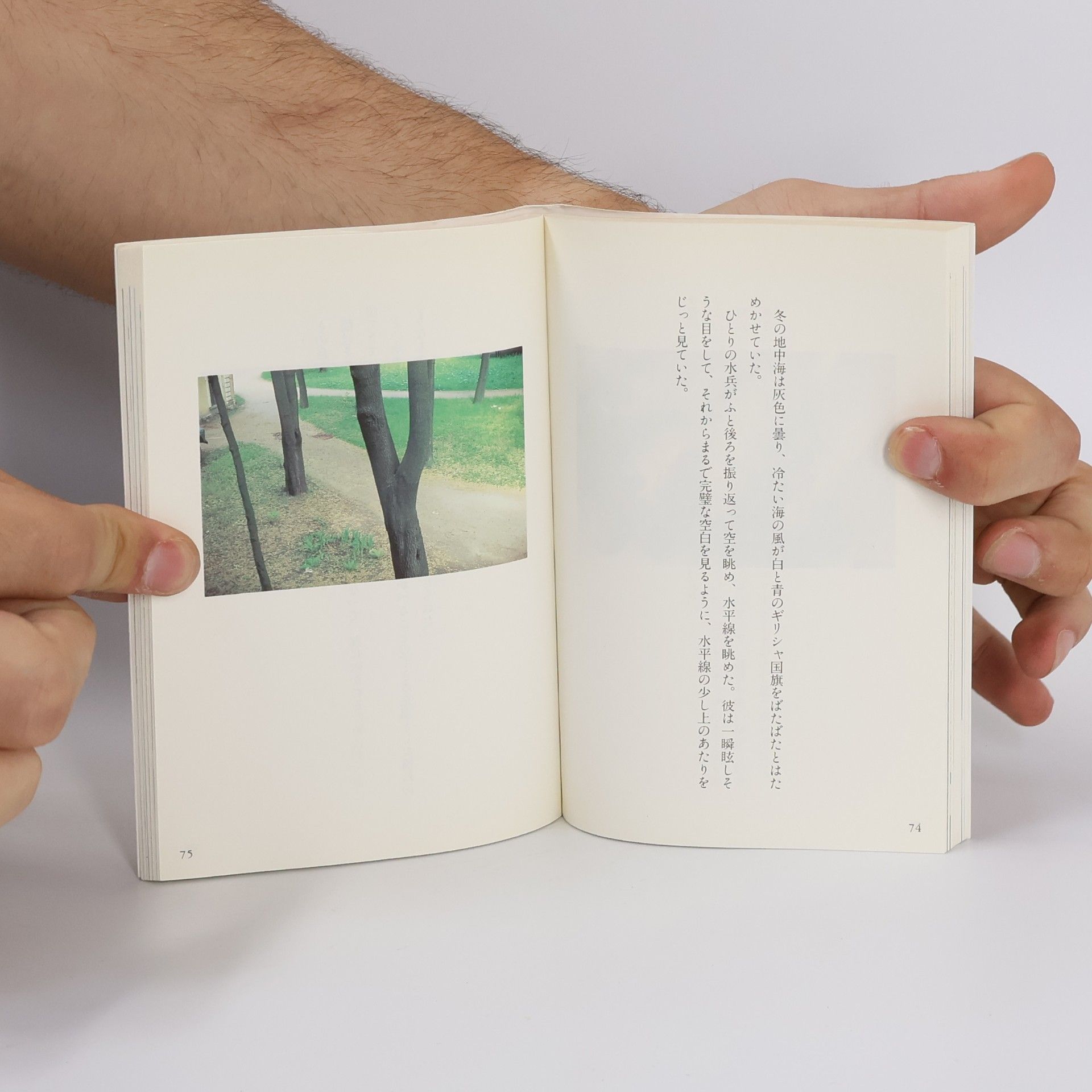 Haruki Murakami 中公文庫: 使いみちのない風景
