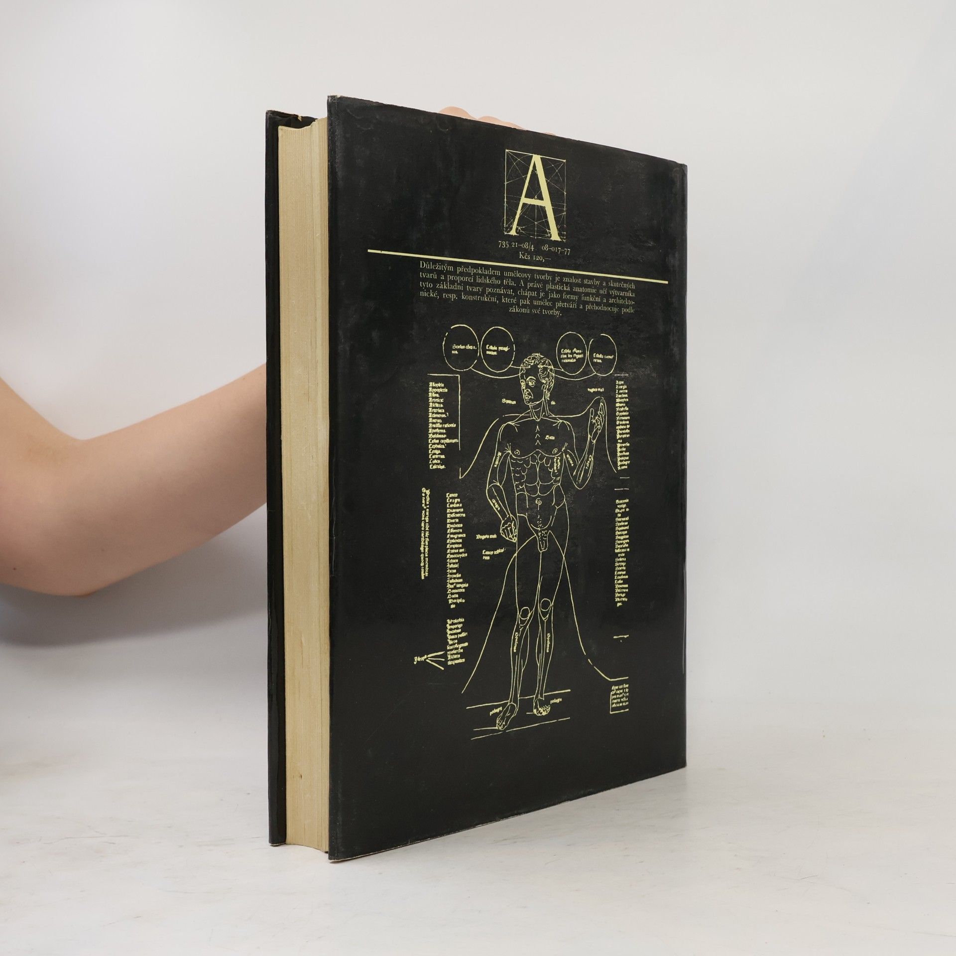 Josef Zrzavý Anatomie pro výtvarníky