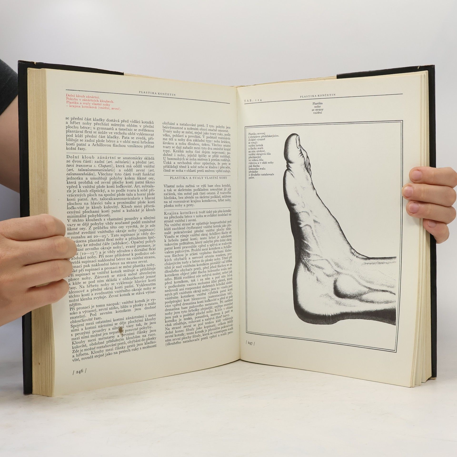 Josef Zrzavý Anatomie pro výtvarníky