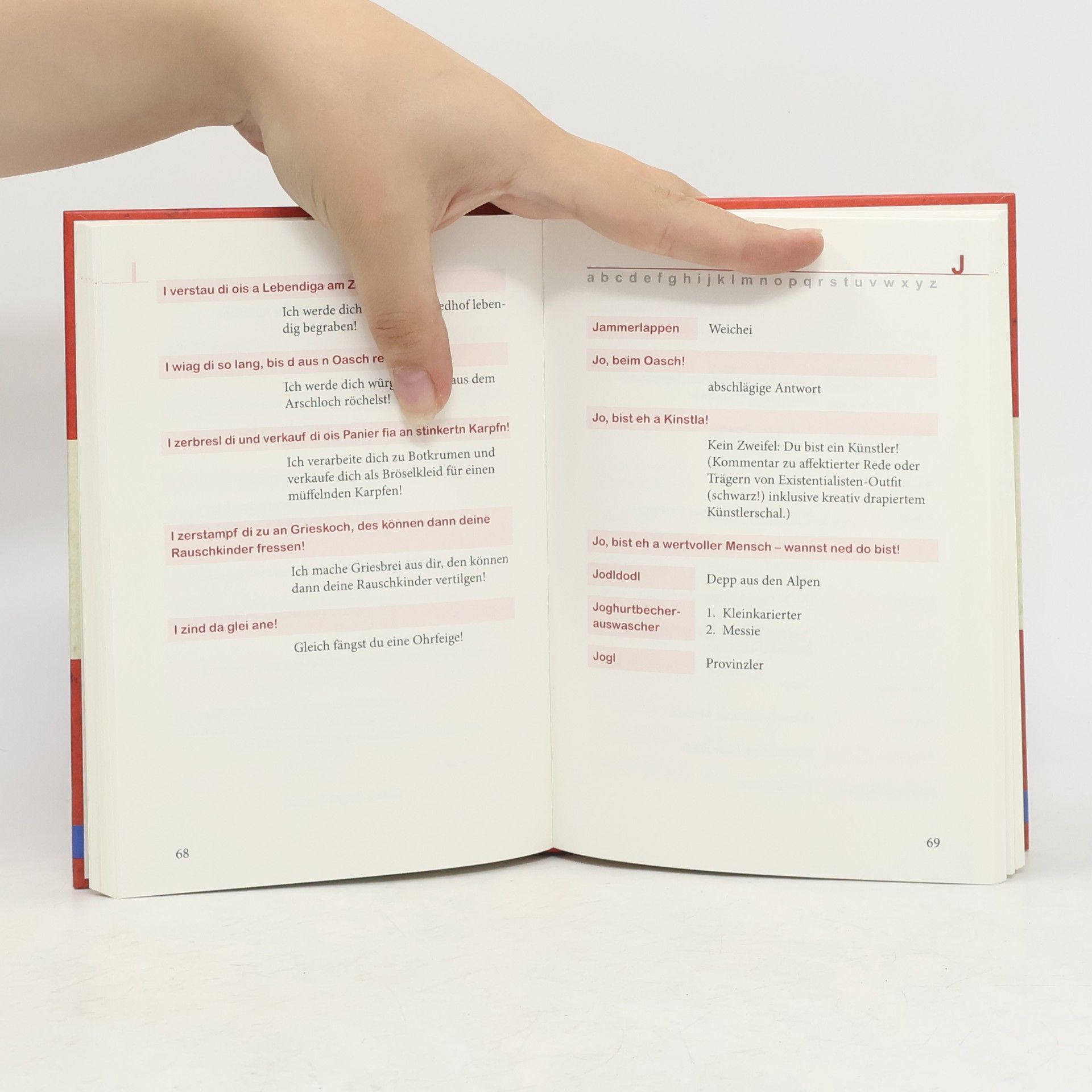 Peter Ahorner Handbuch der österreichischen Schimpfwörter