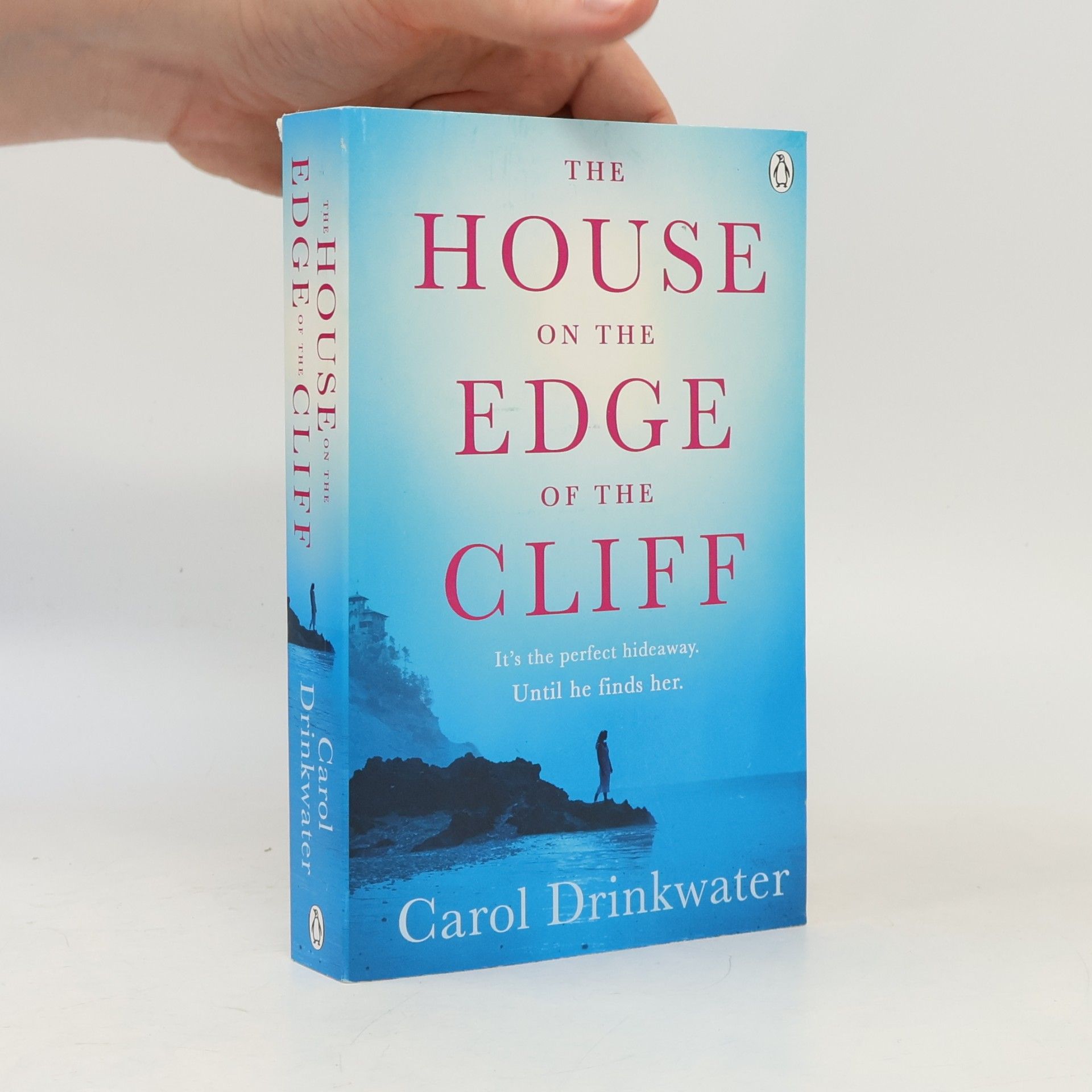 Carol Drinkwater The House on the Edge of the Cliff