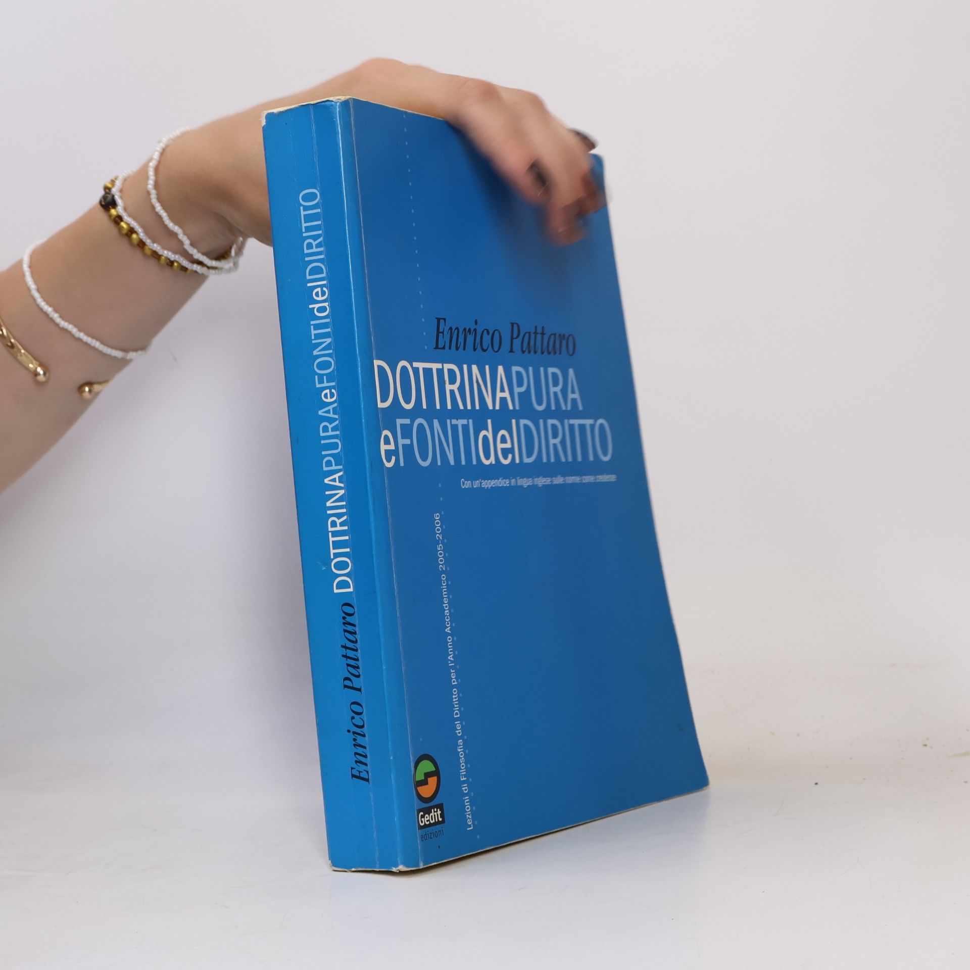 Pattaro, Enrico Dottrina pura e fonti del diritto. Lezioni di filosofia del diritto per l'anno 2005-2006