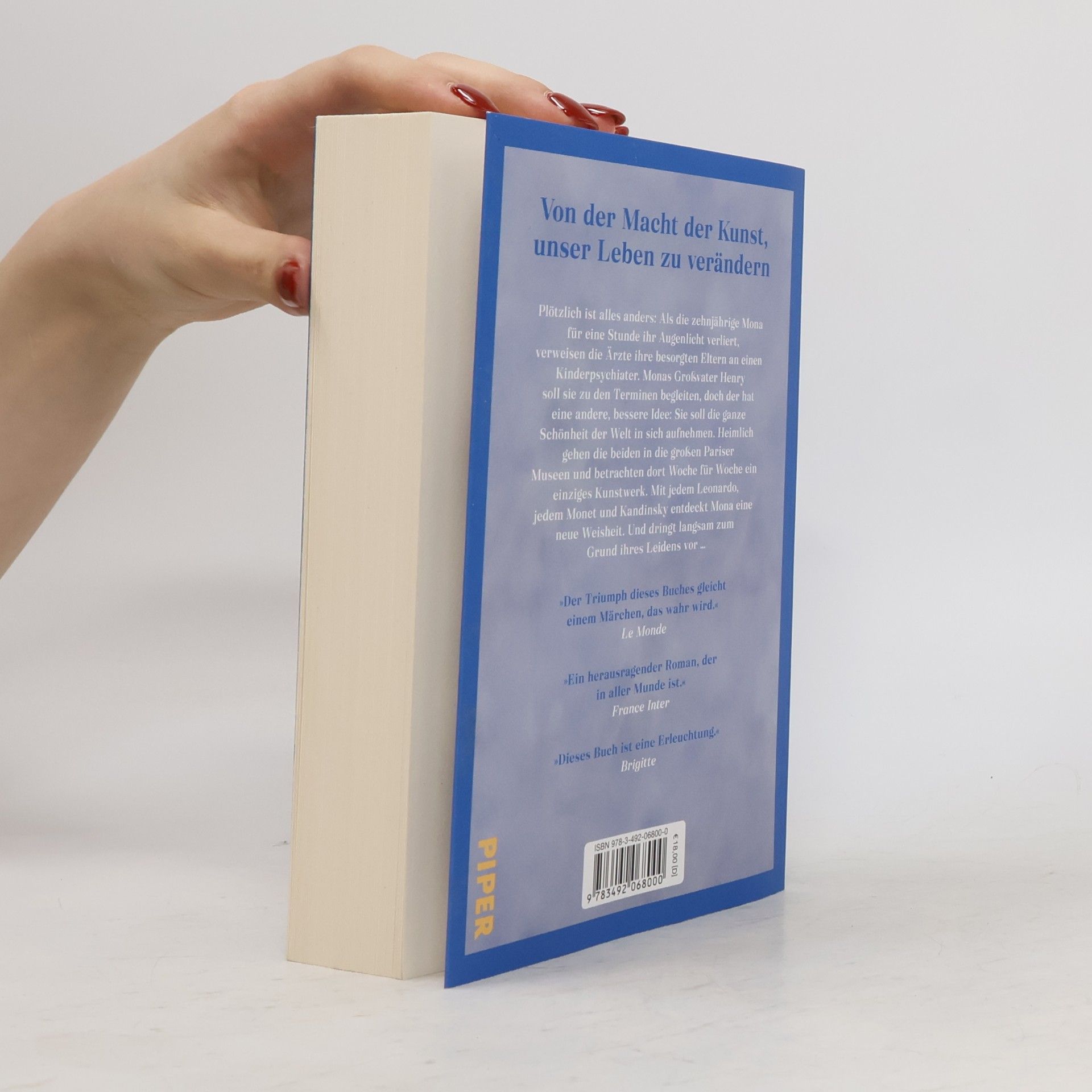 Thomas Schlesser Monas Augen – Eine Reise zu den schönsten Kunstwerken unserer Zeit: Roman