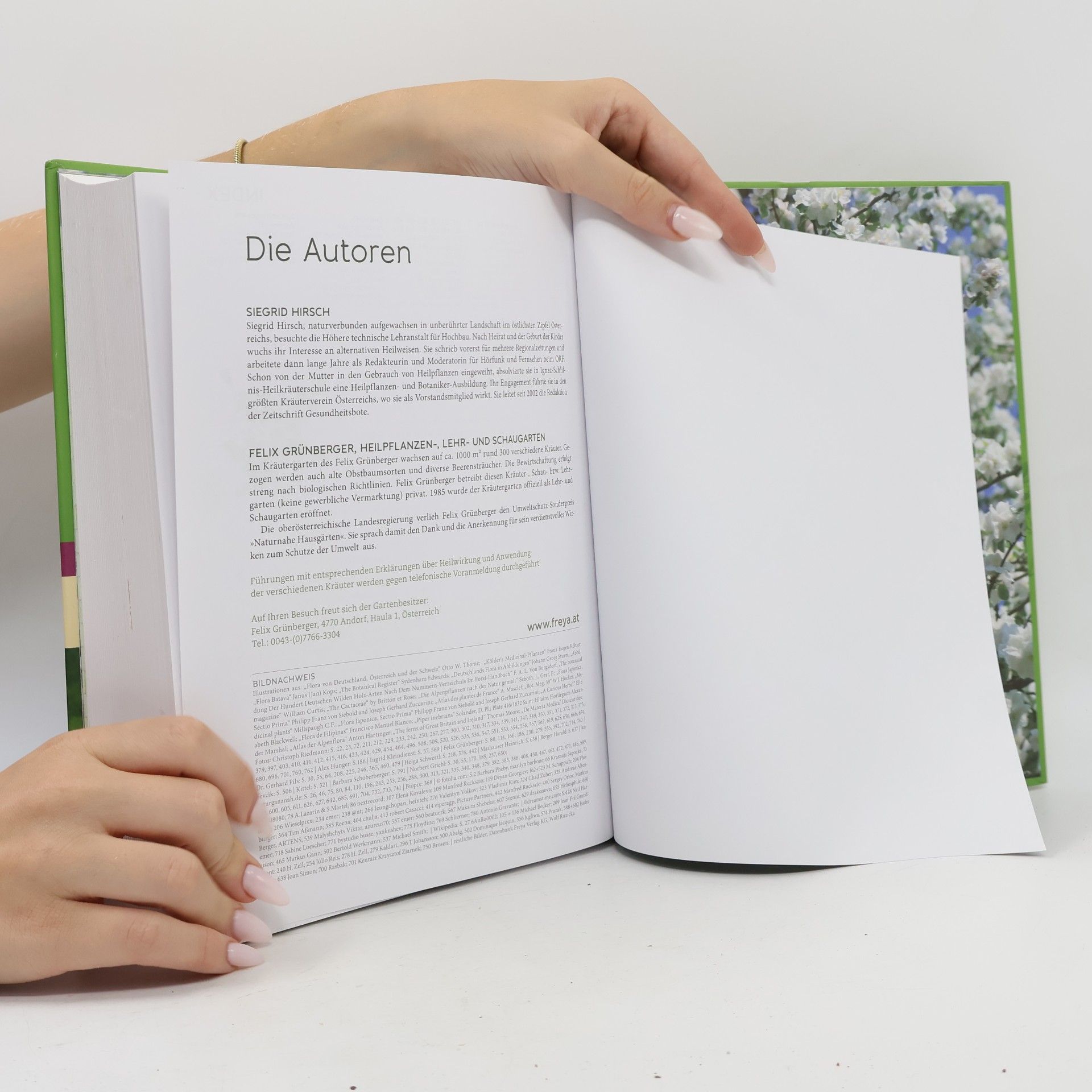 Siegrid Hirsch Die Kräuter in meinem Garten