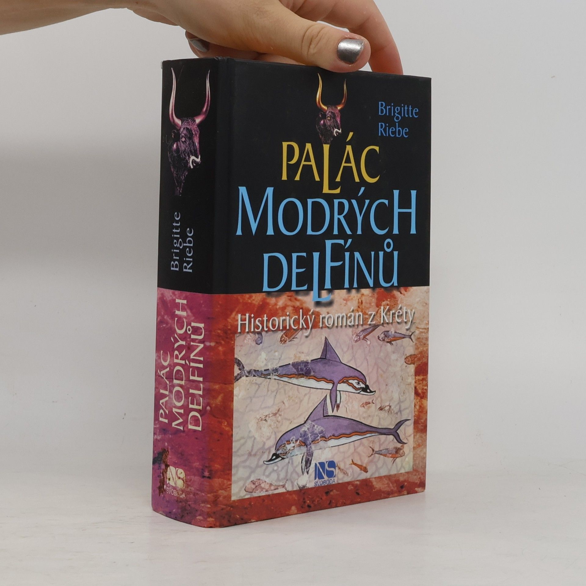 Brigitte Riebe Palác modrých delfínů