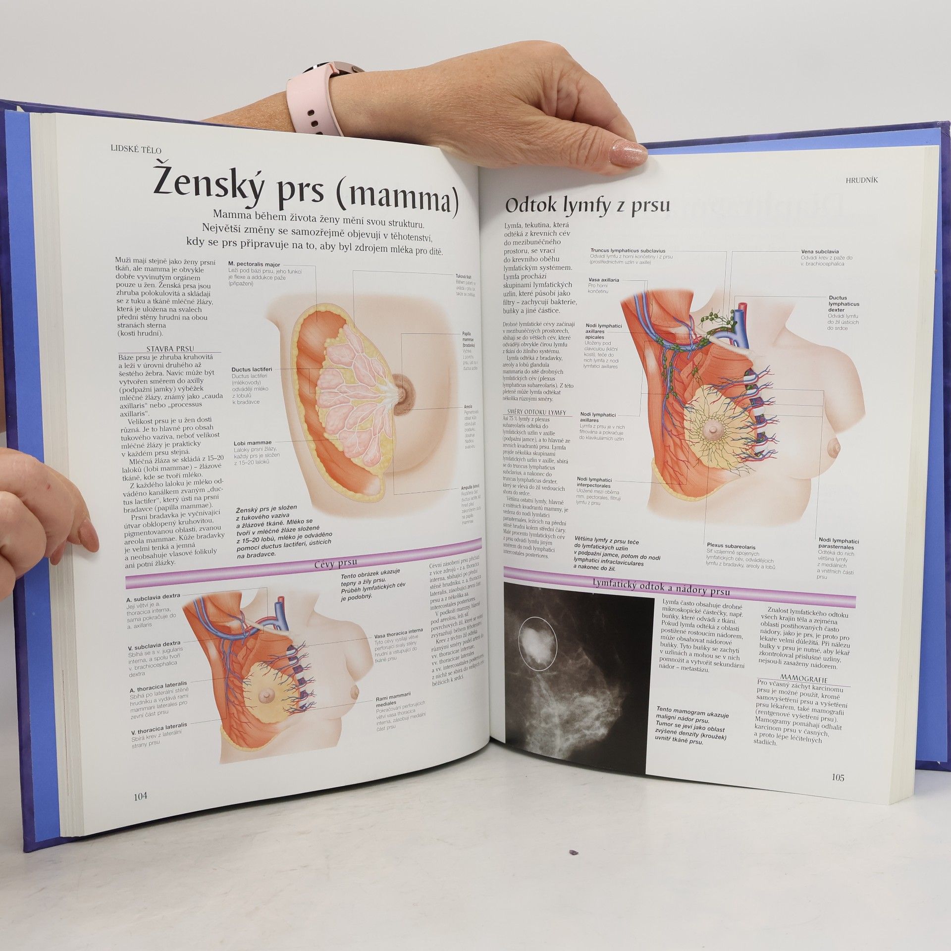 Peter H. Abrahams Lidské tělo : atlas anatomie člověka