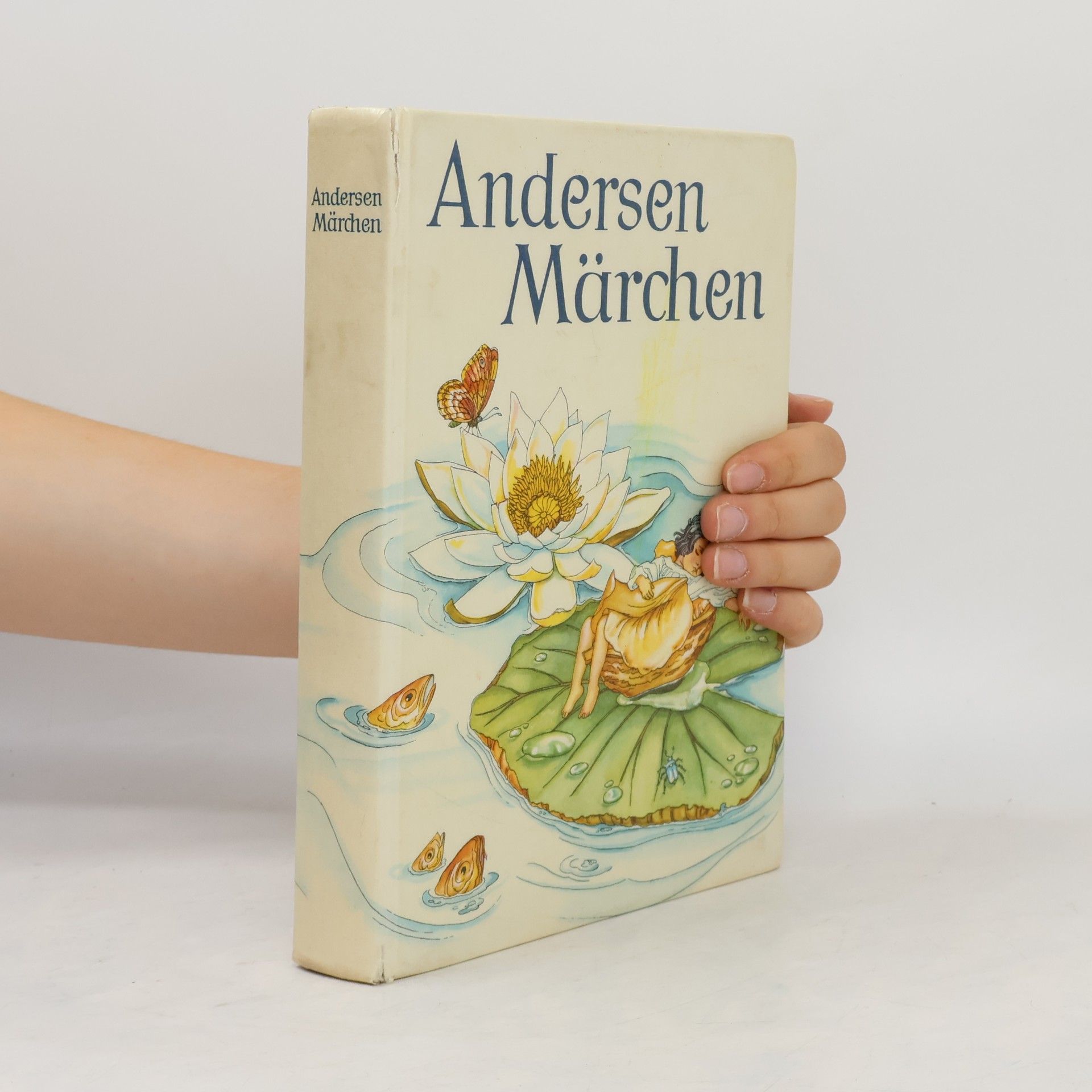 Hans Christian Andersen Andersen Märchen