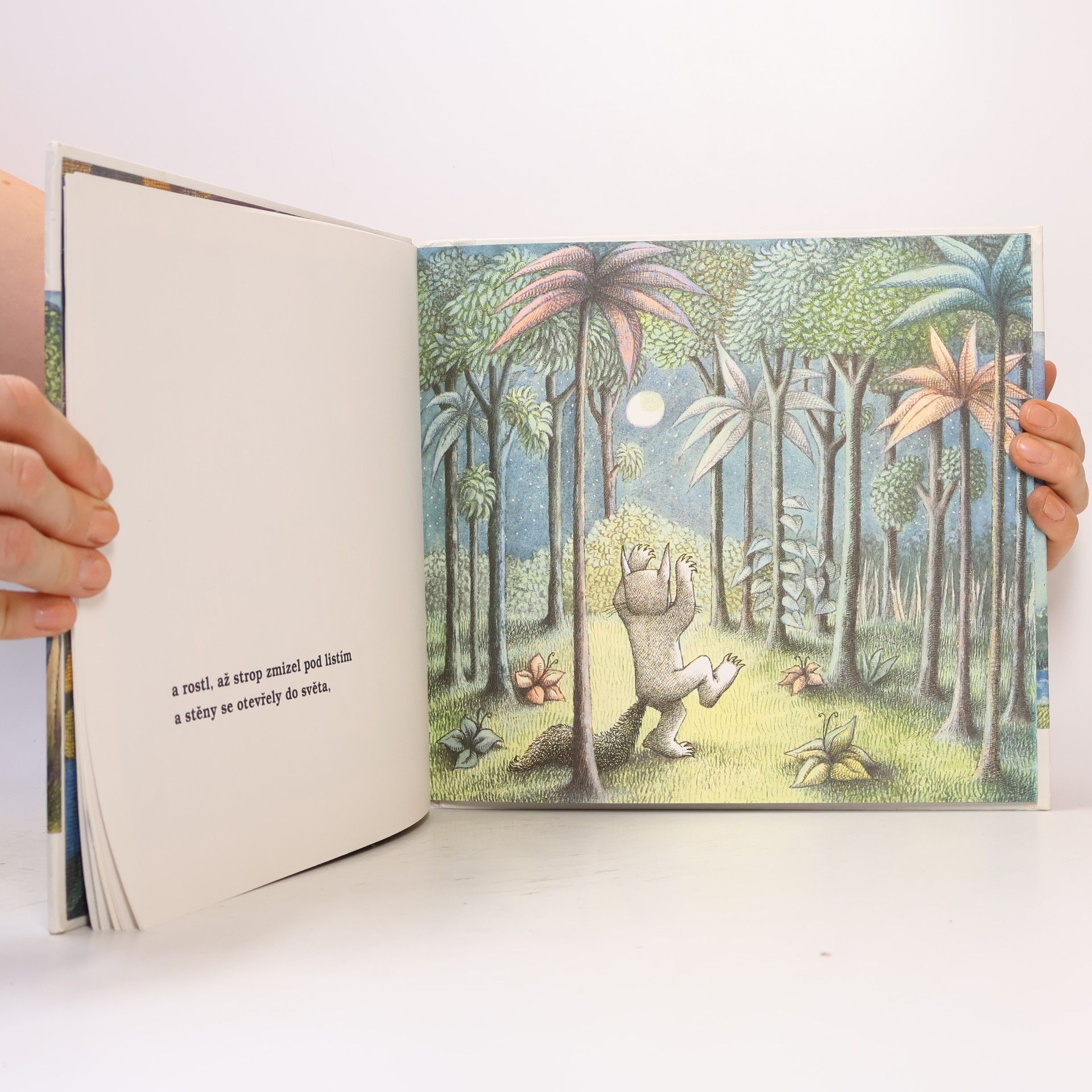 Maurice Sendak Tam kde žijí divočiny