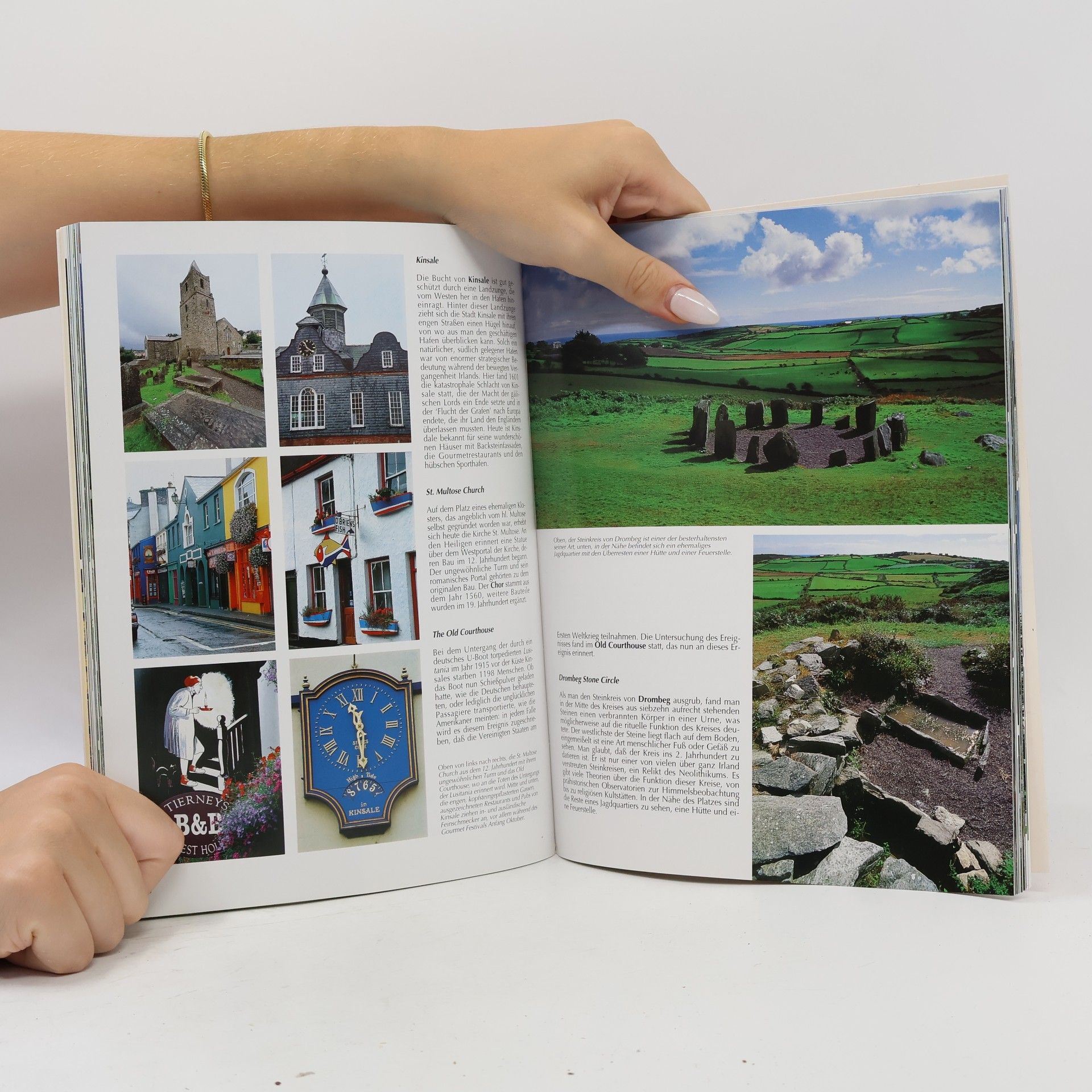 Frances Power Das goldene Buch Irland