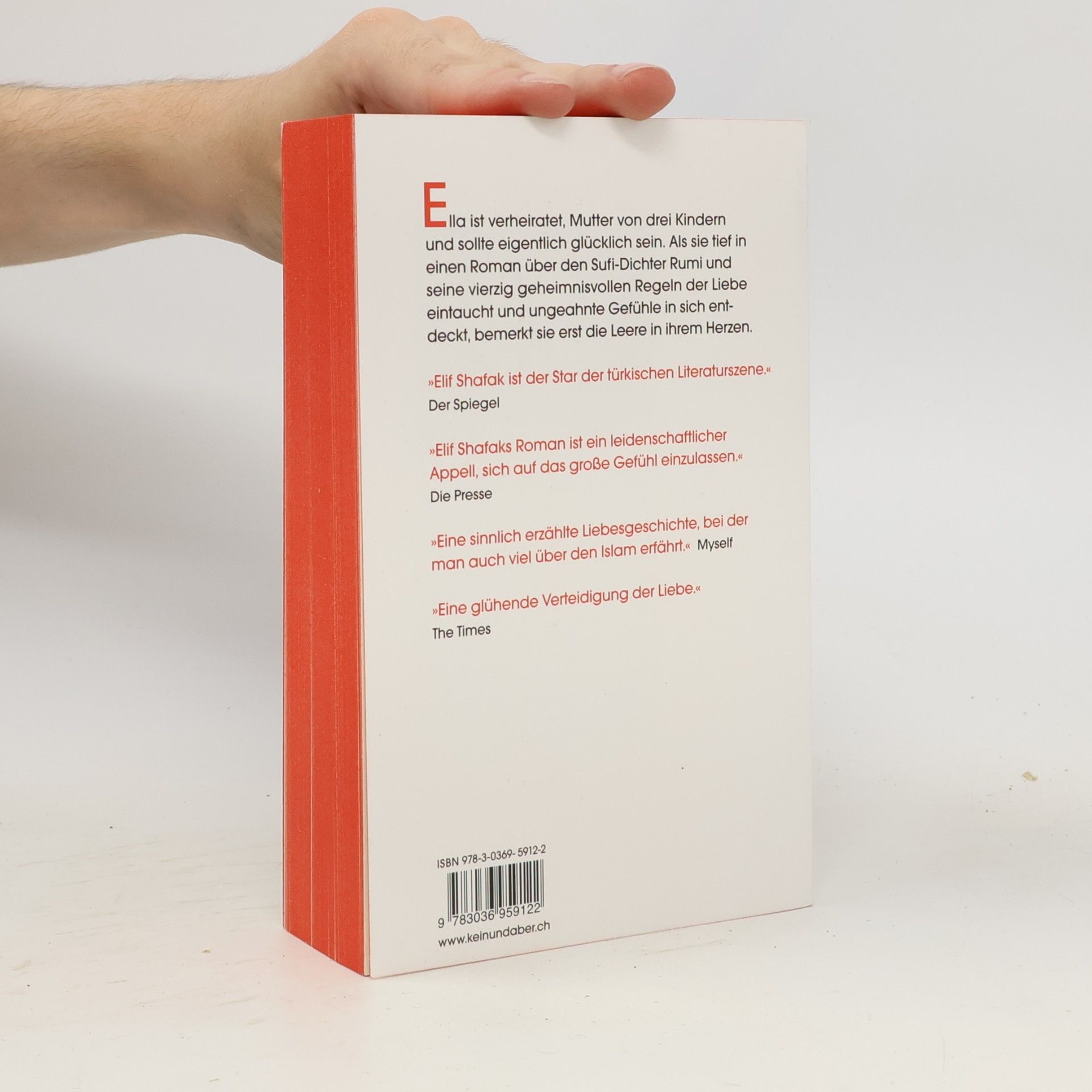 Elif Shafak Die vierzig Geheimnisse der Liebe
