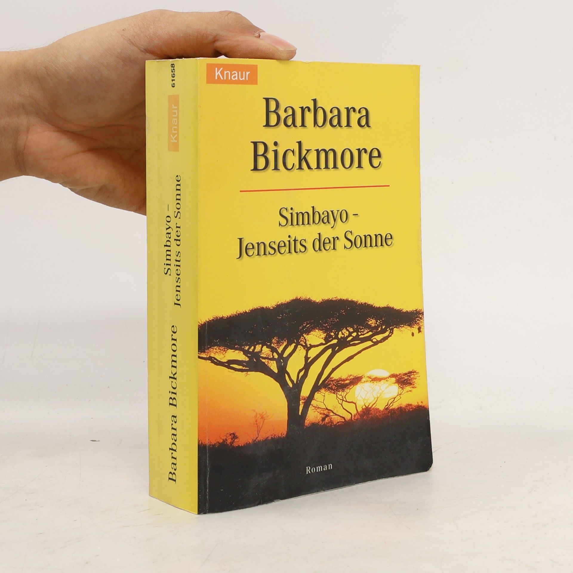 Barbara Bickmore Simbayo - jenseits der Sonne