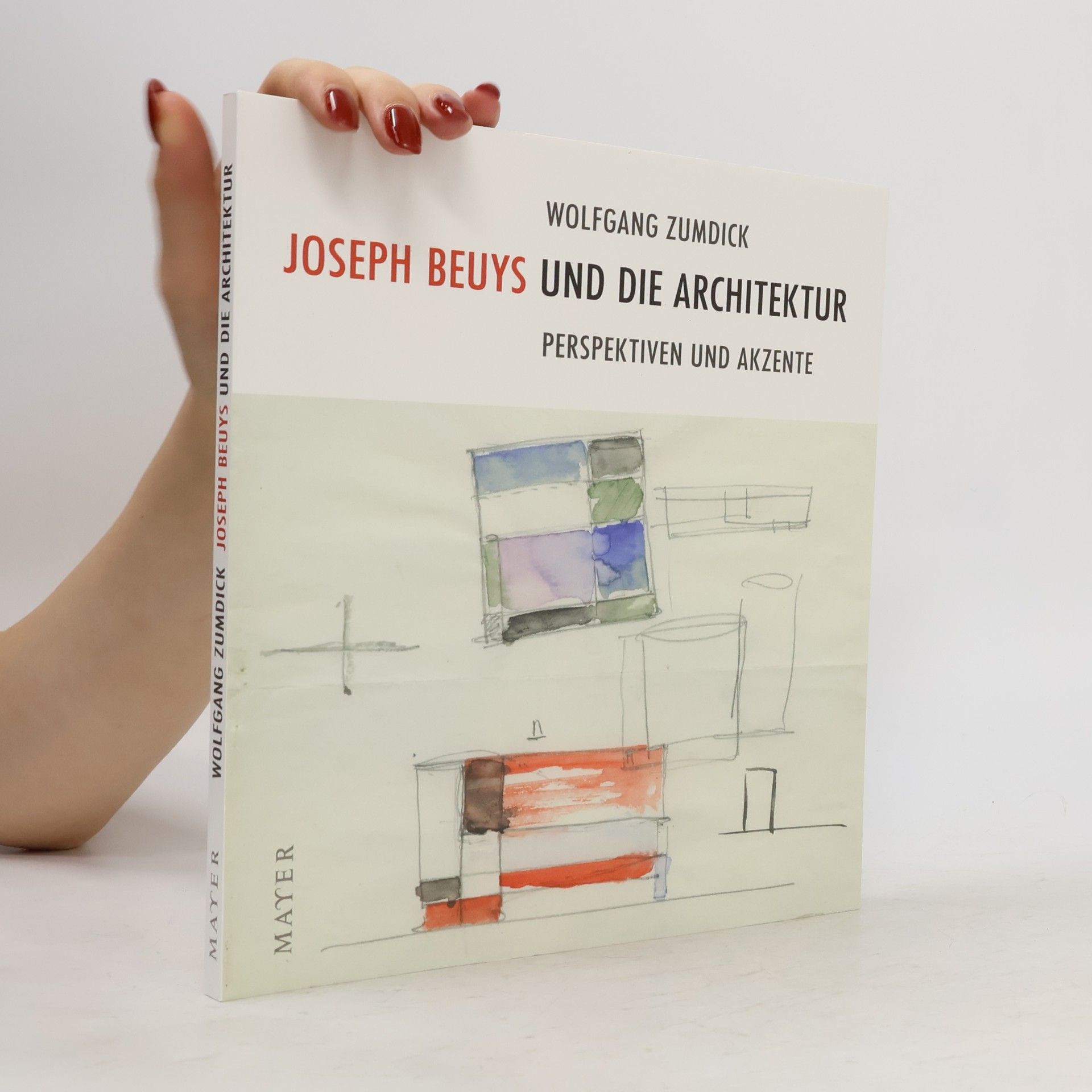 Joseph Beuys und die Architektur
