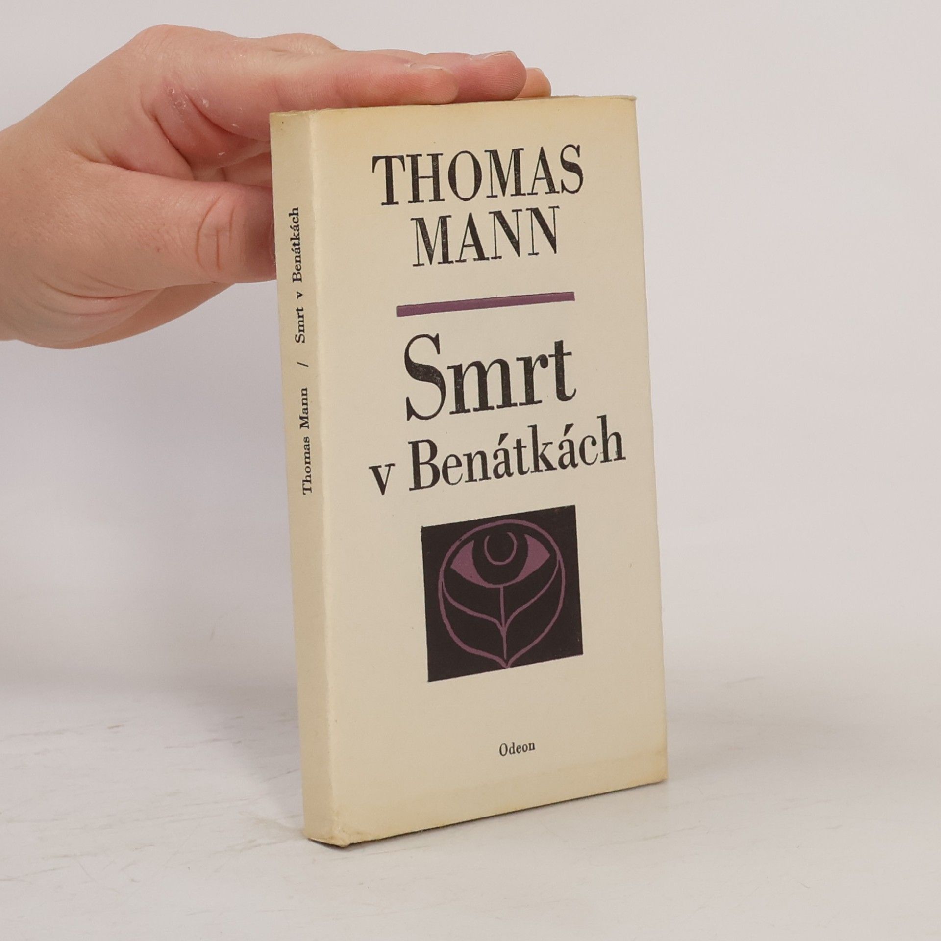 Thomas Mann Smrt v Benátkách