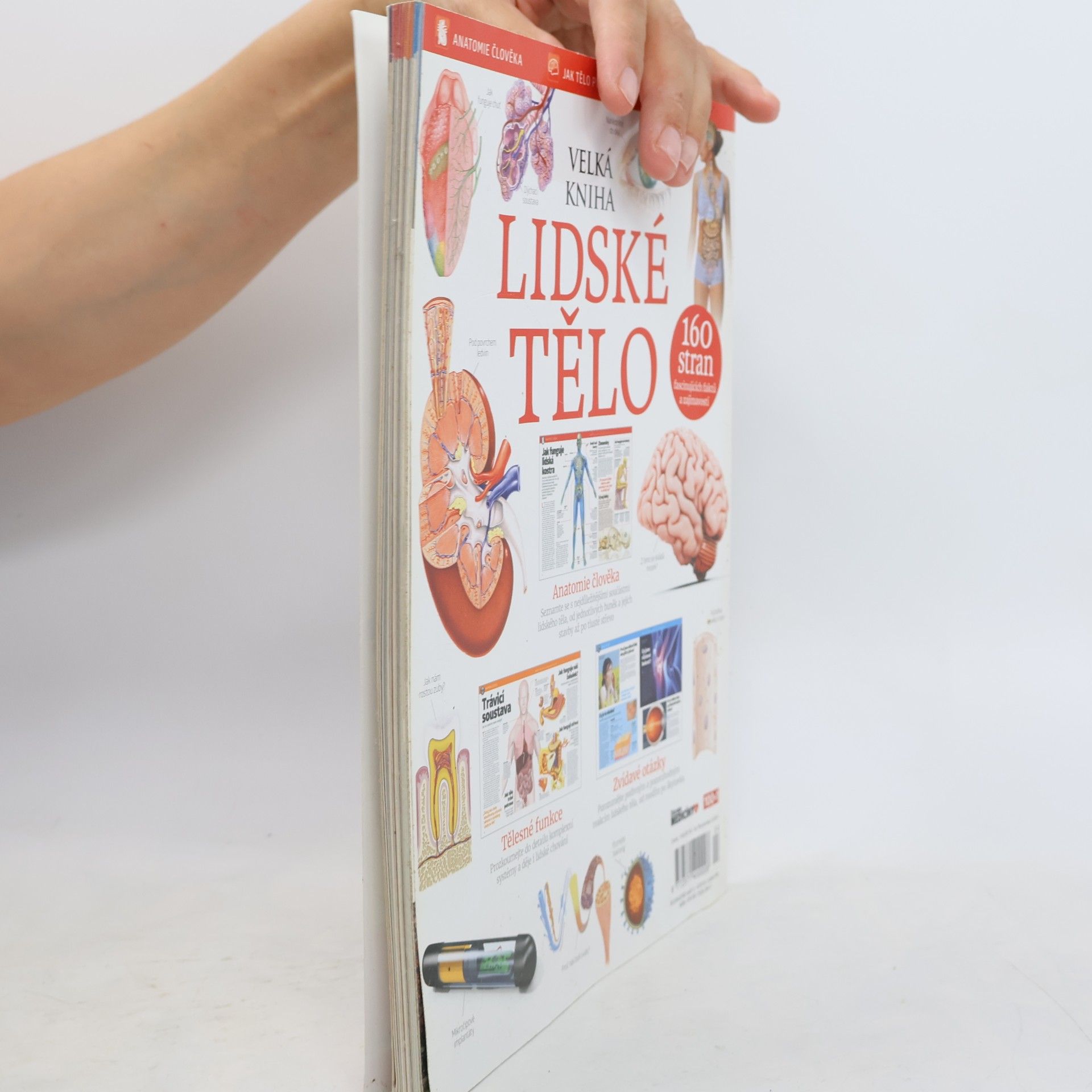 Various authors Lidské tělo. Všechno co potřebujete vědět o svém těle