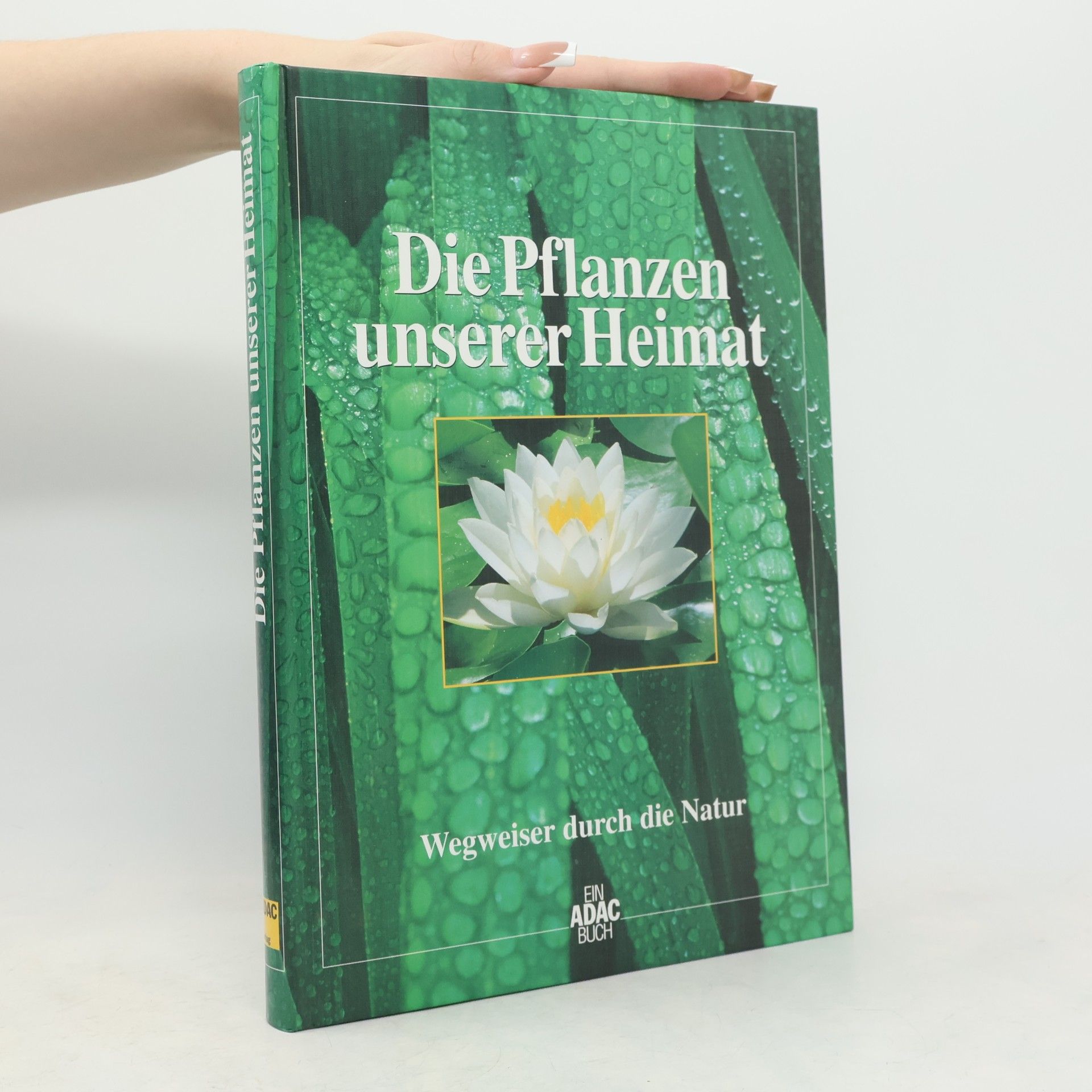 Gunter Steinbach Die Pflanzen unserer Heimat