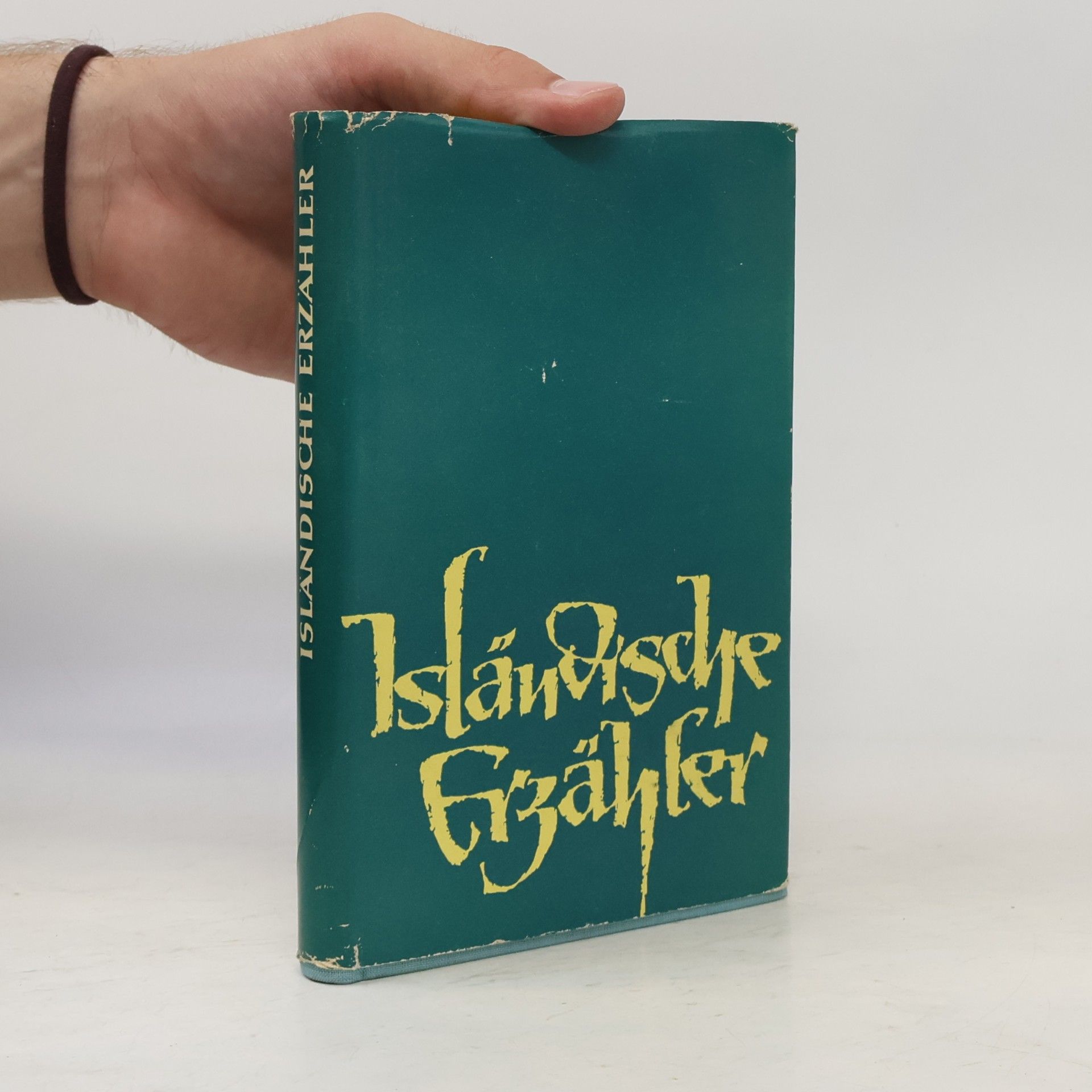 Kolektiv autorů Isländische erzähler