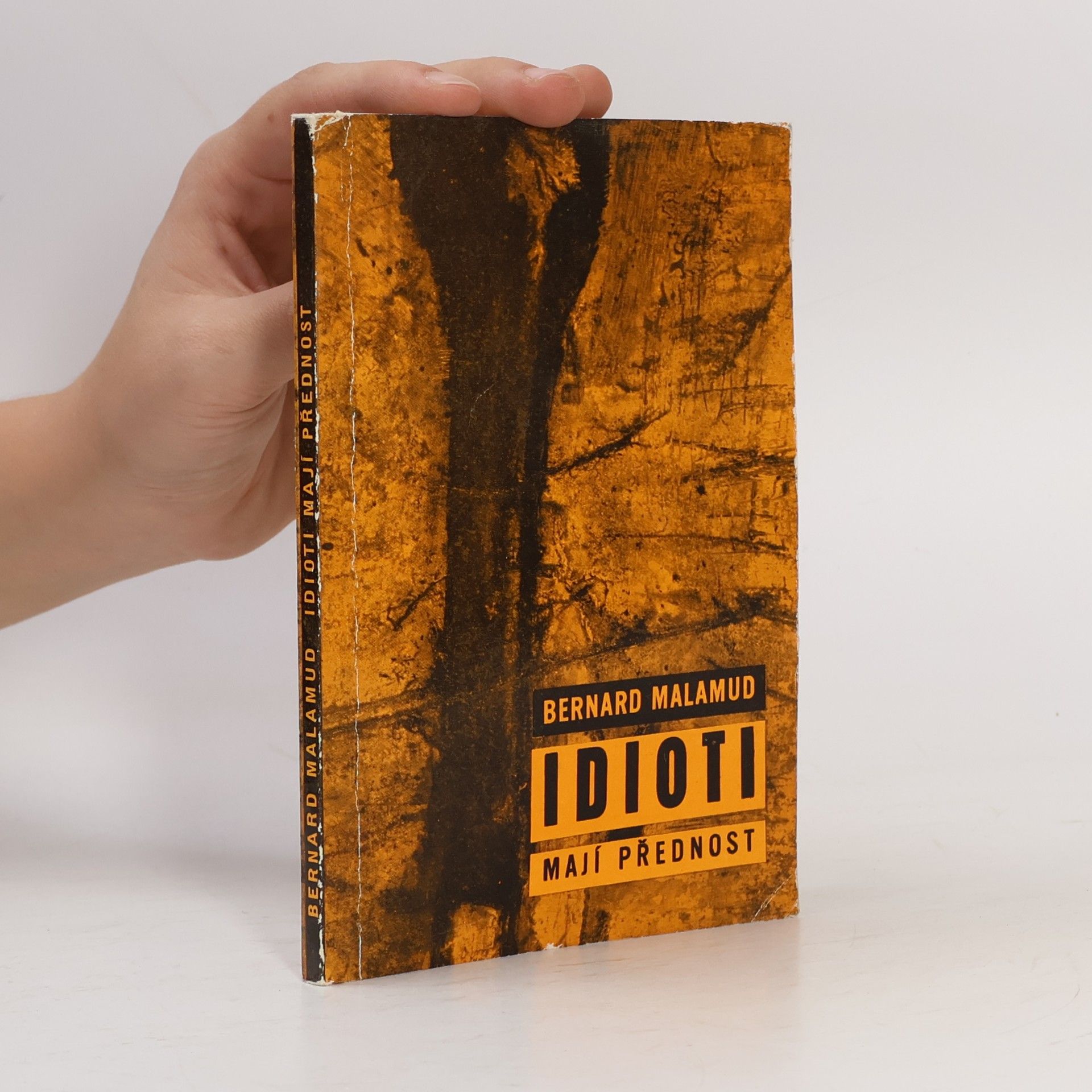 Bernard Malamud Idioti mají přednost