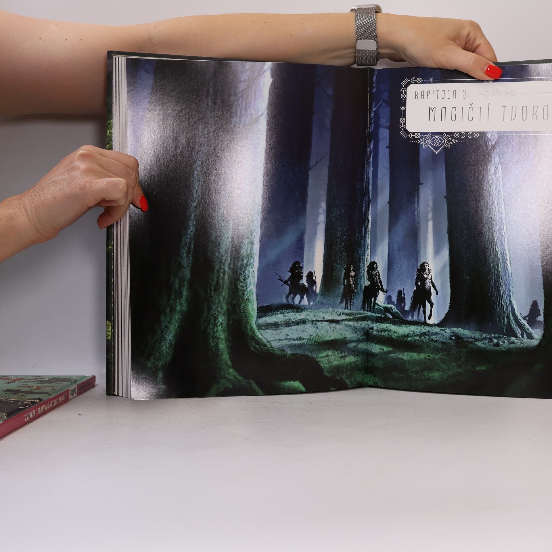 Various authors Harry Potter – Velká kniha o kouzelných filmech