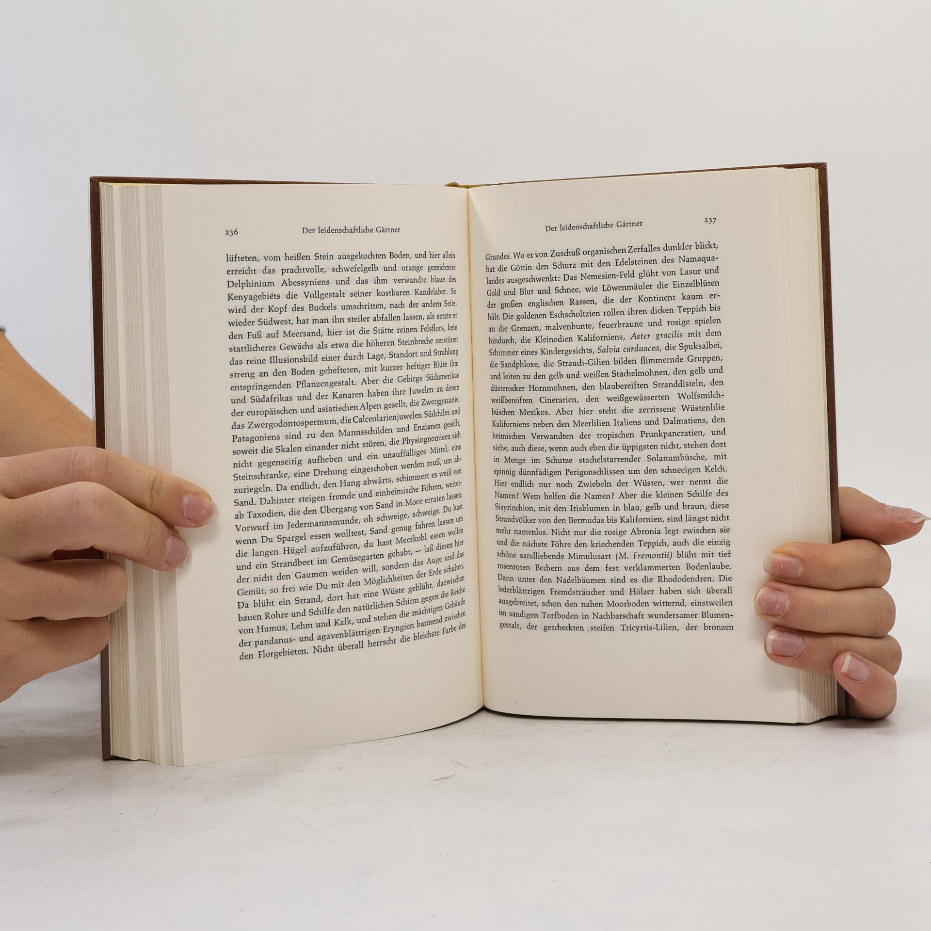 Rudolf Borchardt Der Leidenschaftliche Gärtner