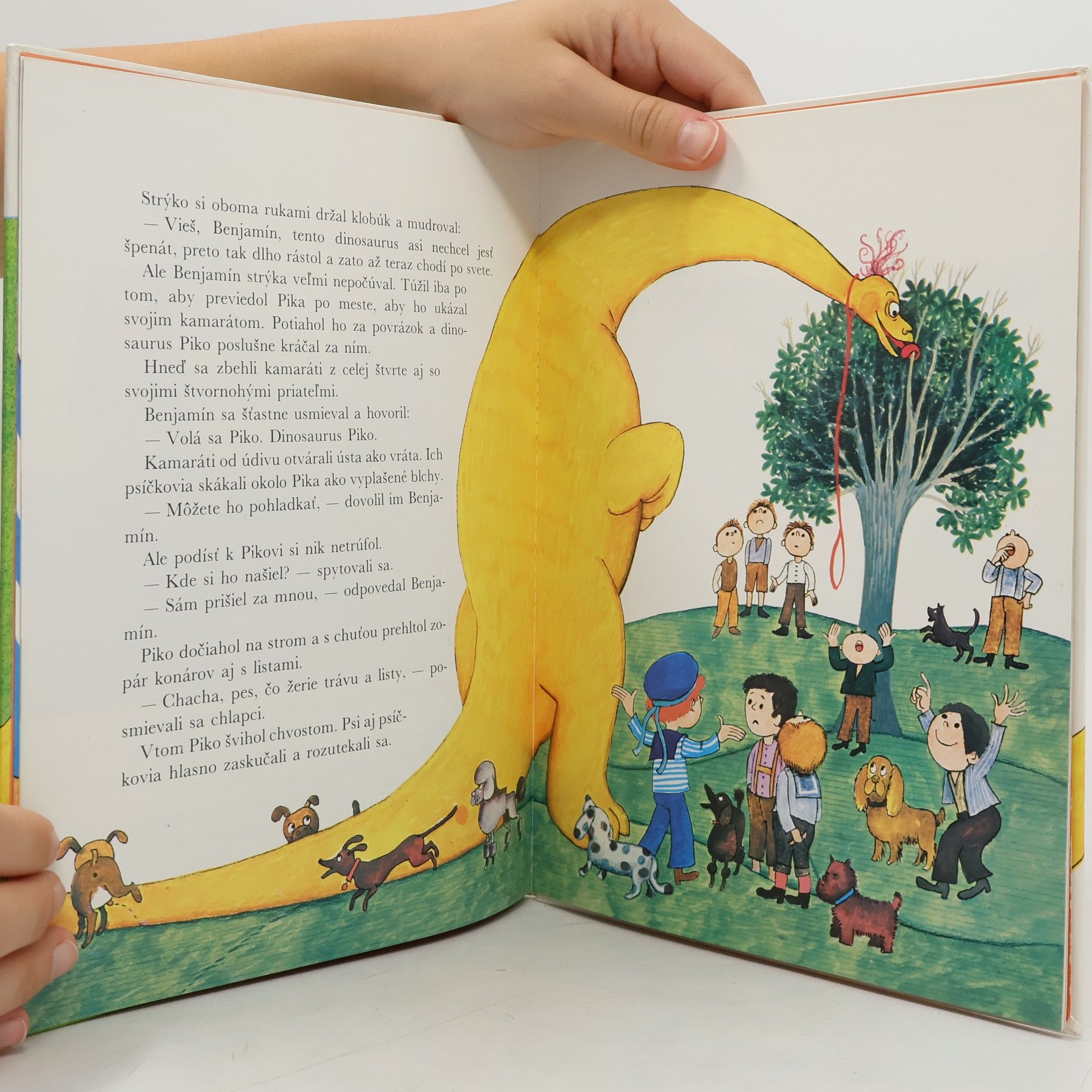 Kateřina Literová Benhartová Piko Dinosaurus