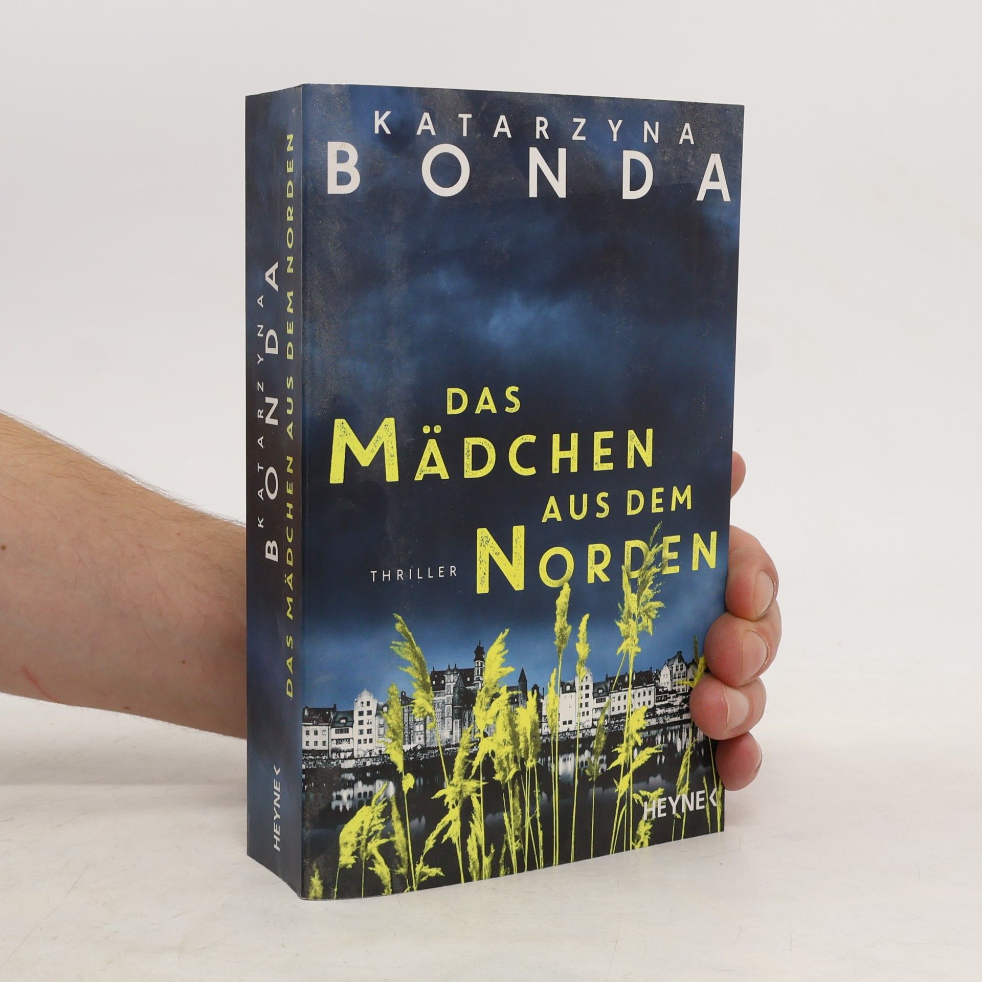Katarzyna Bonda Das Mädchen aus dem Norden