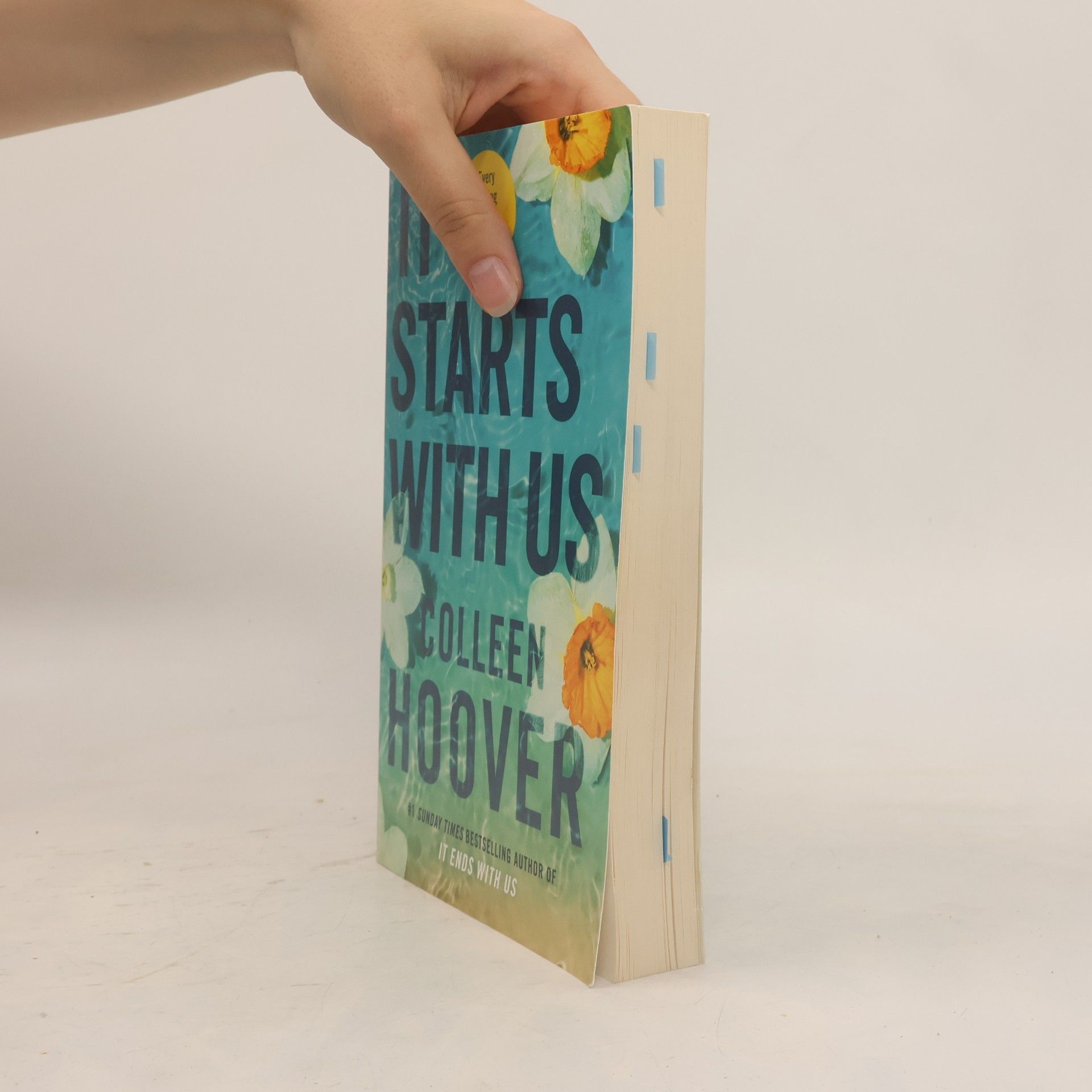 Colleen Hoover It Starts With Us