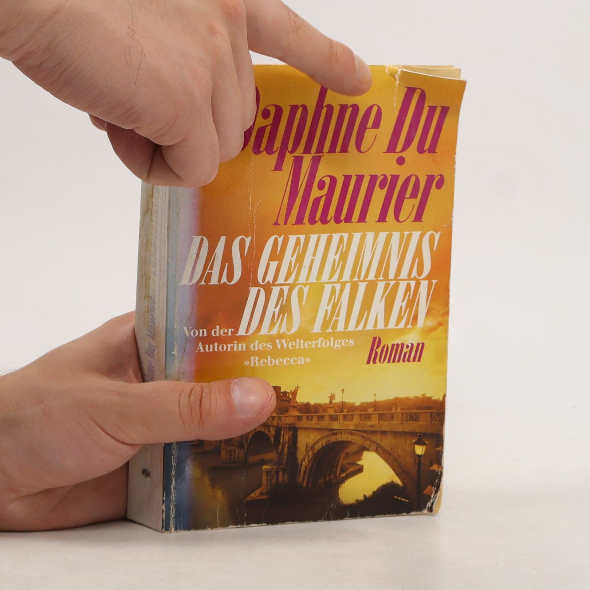 Daphne Du Maurier Das Geheimnis des Falken