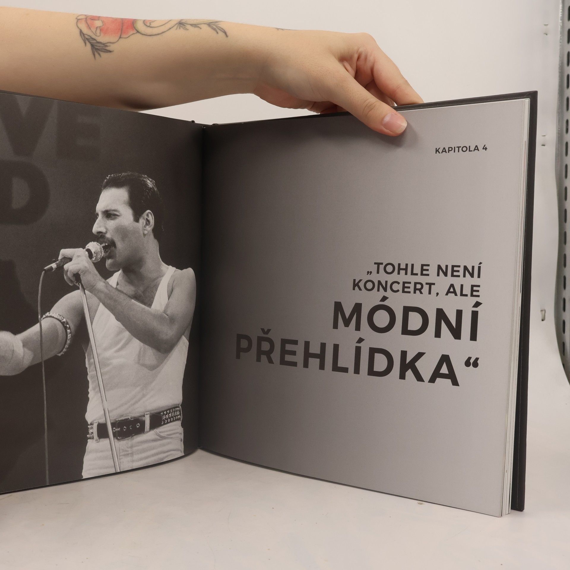 Lucinda Jordaan Freddie Mercury & Queen : excentrický fenomén