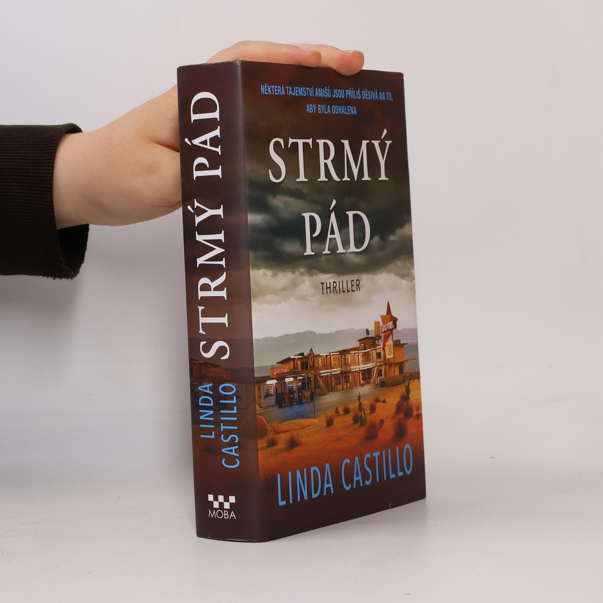 Linda Castillo Strmý pád