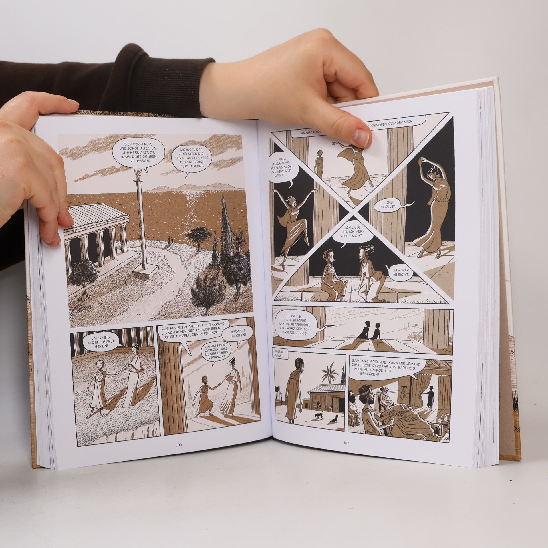 Tassos Apostolidis Aristoteles - Die Graphic Novel
