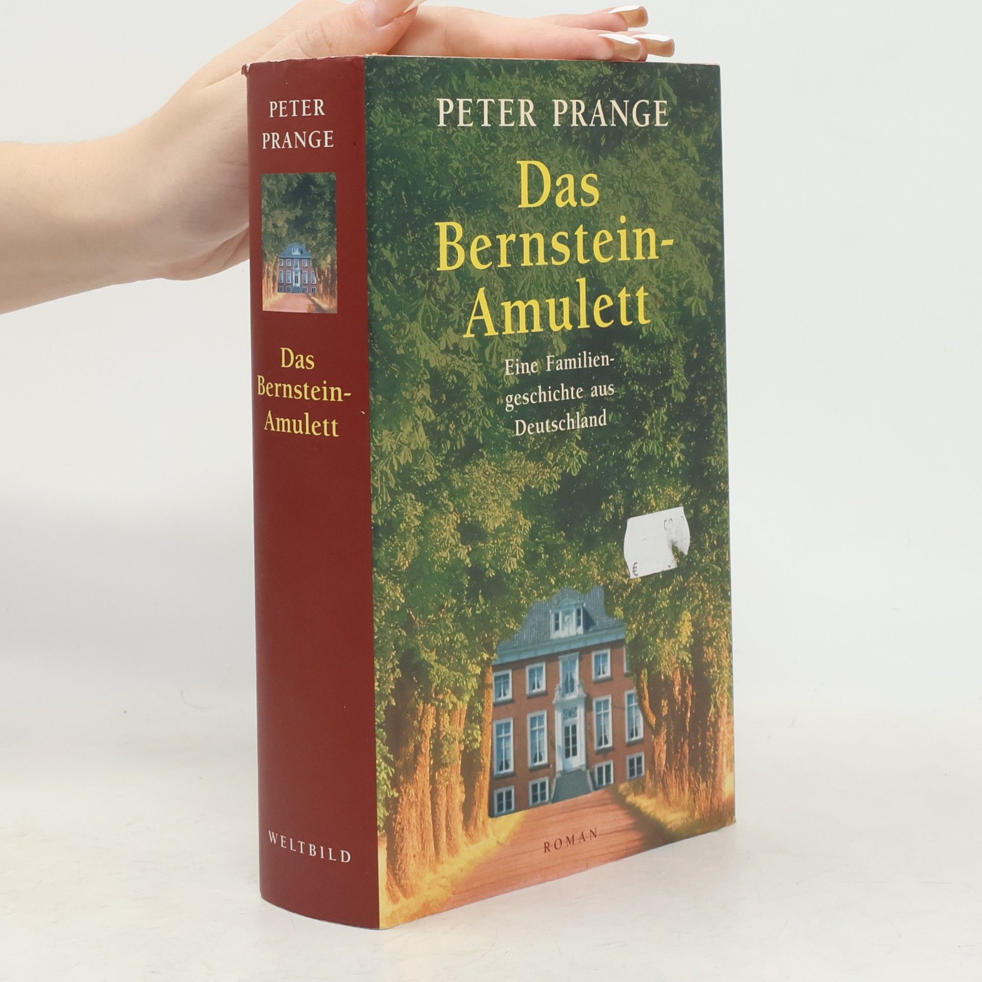 Peter Prange Das Bernstein-Amulett