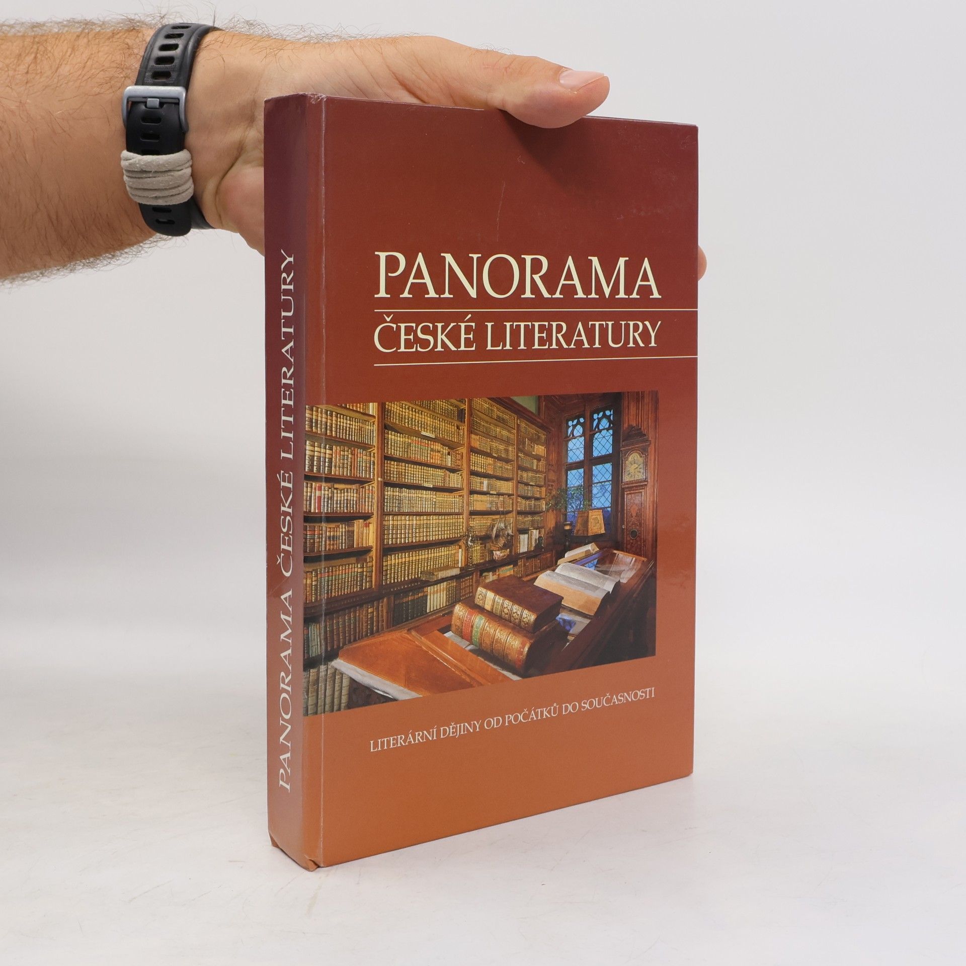 Josef Galík Panorama české literatury. Literární dějiny od počátků do současnosti