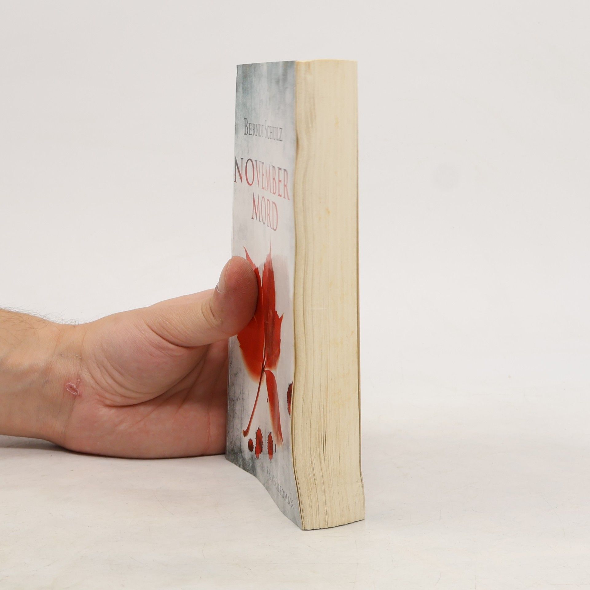Mattias Gerwald November Mord