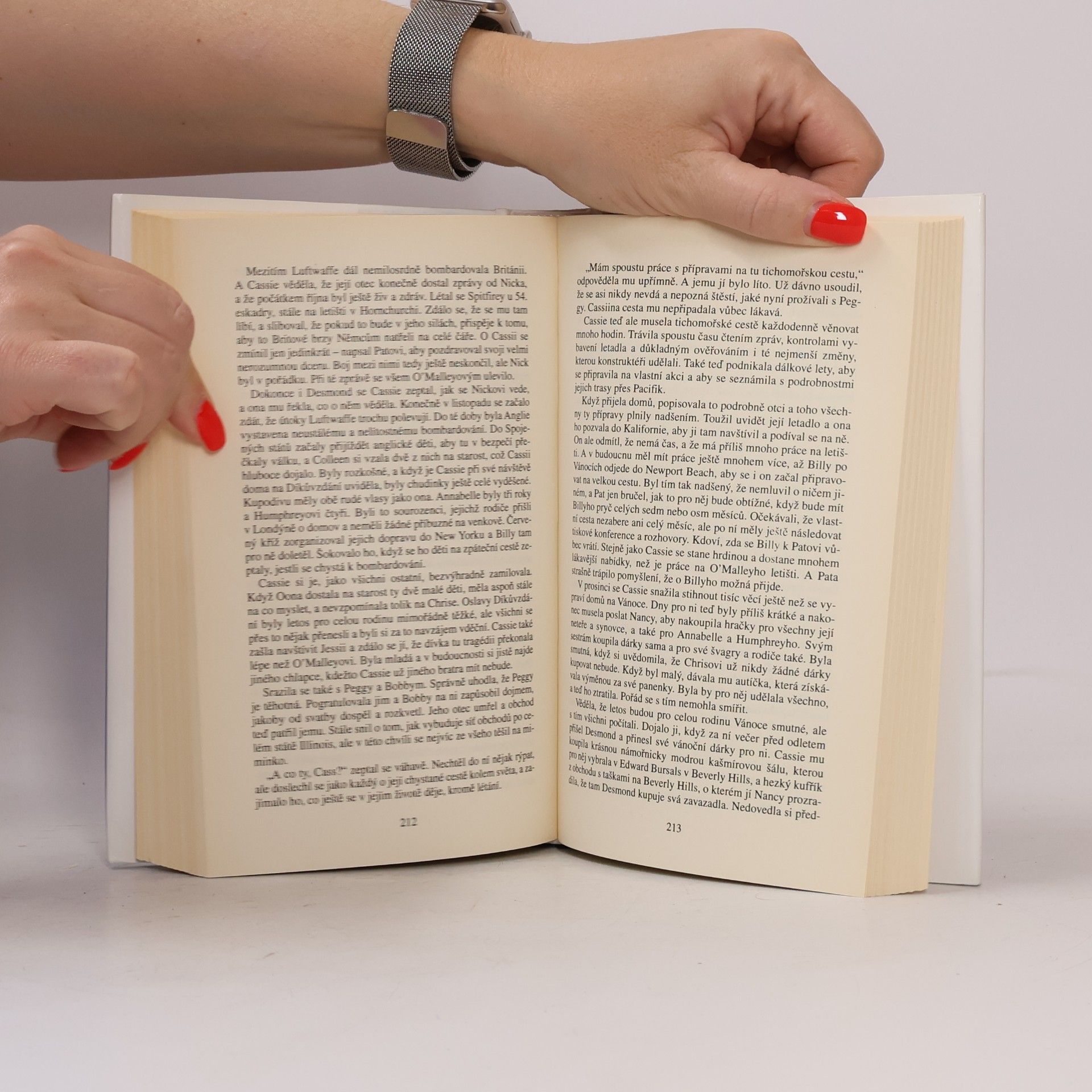 Danielle Steel Křídla