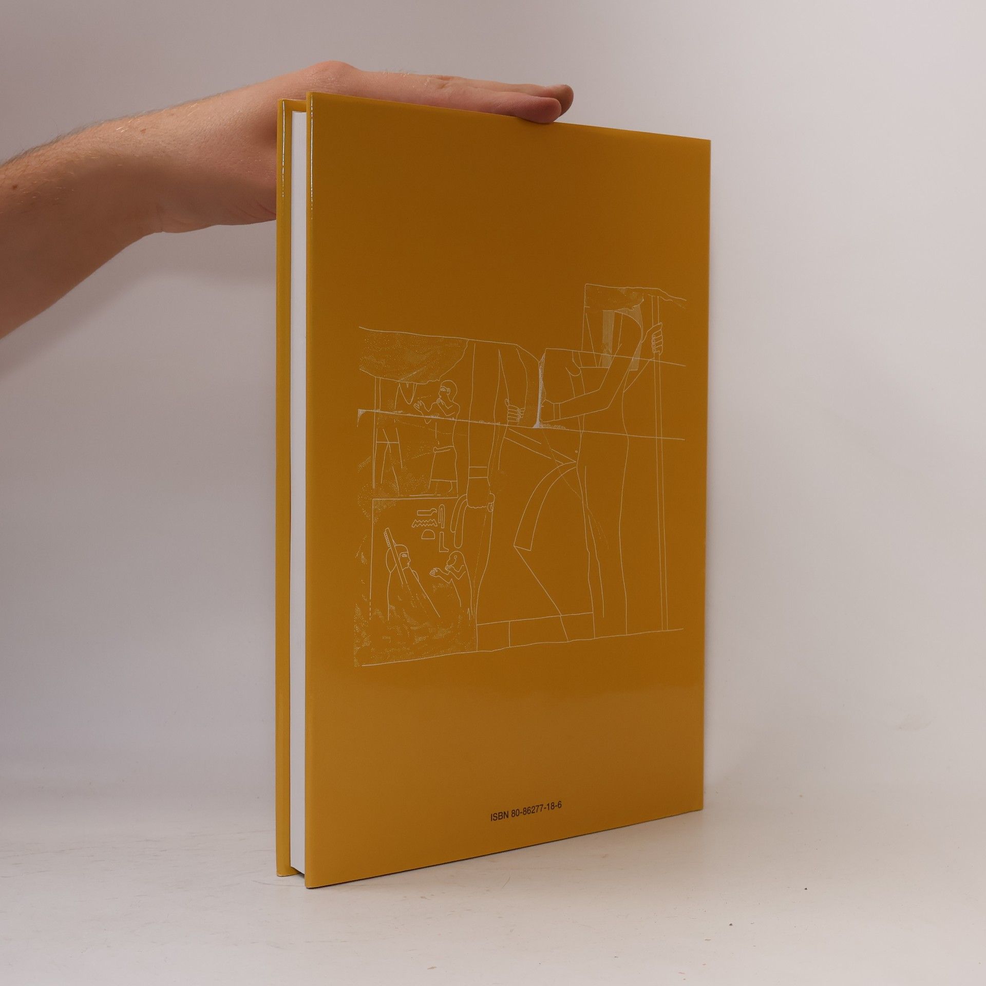 Miroslav Barta Abusir V