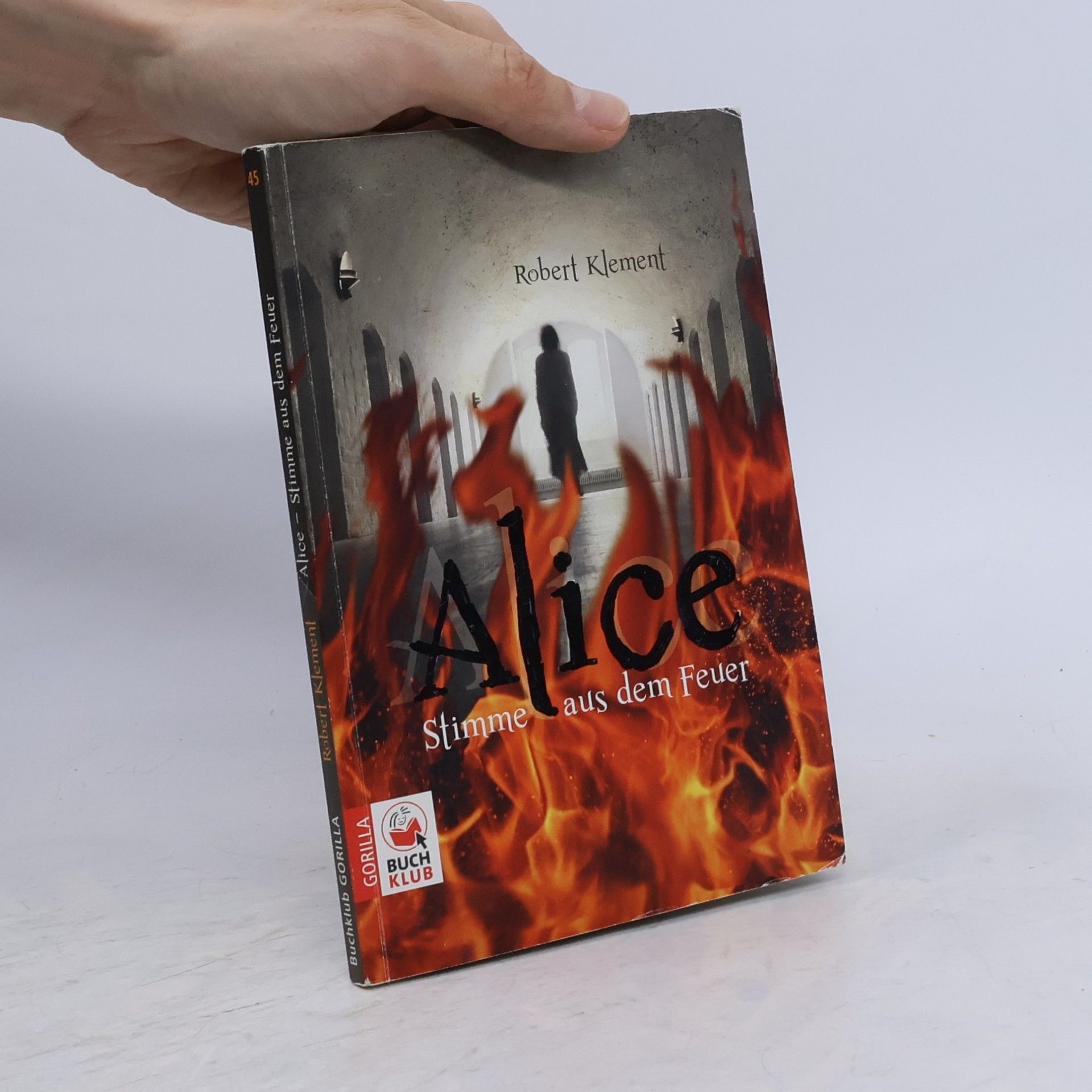 Robert Klement Alice. Stimme aus dem Feuer