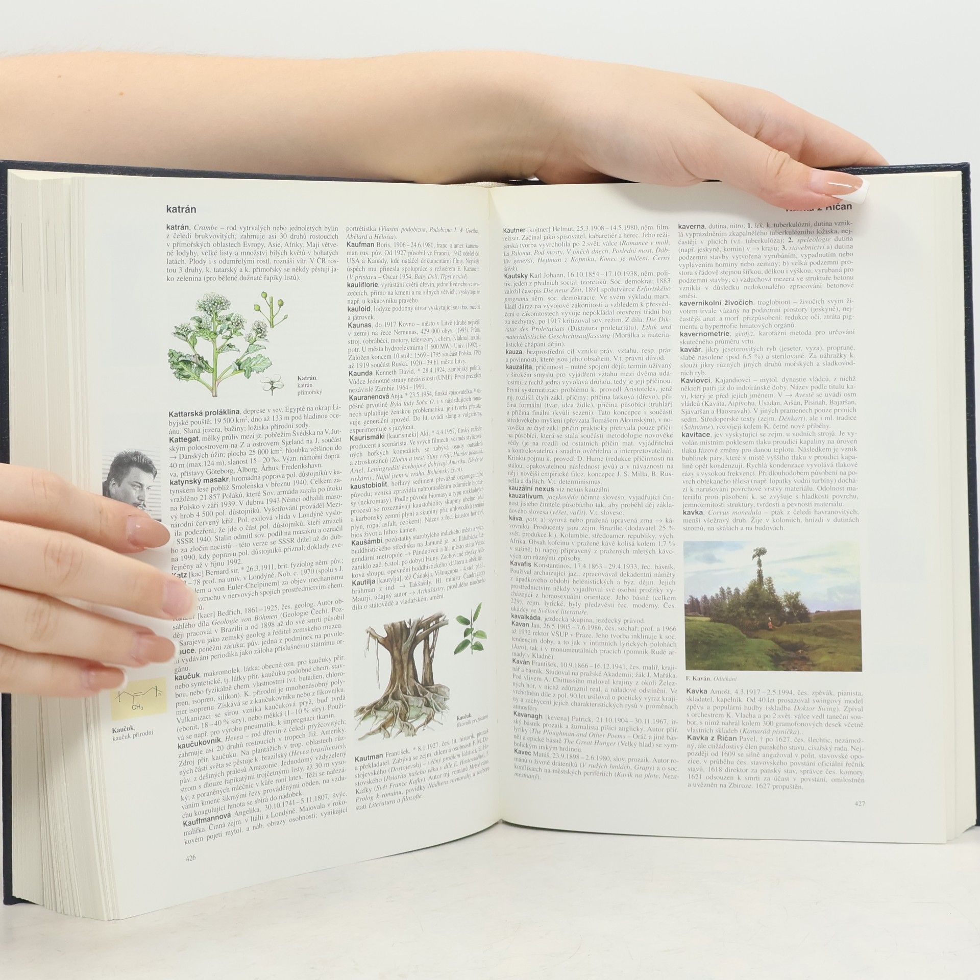 Autorenkollektiv Všeobecná encyklopedie ve čtyřech svazcích 2. g-l