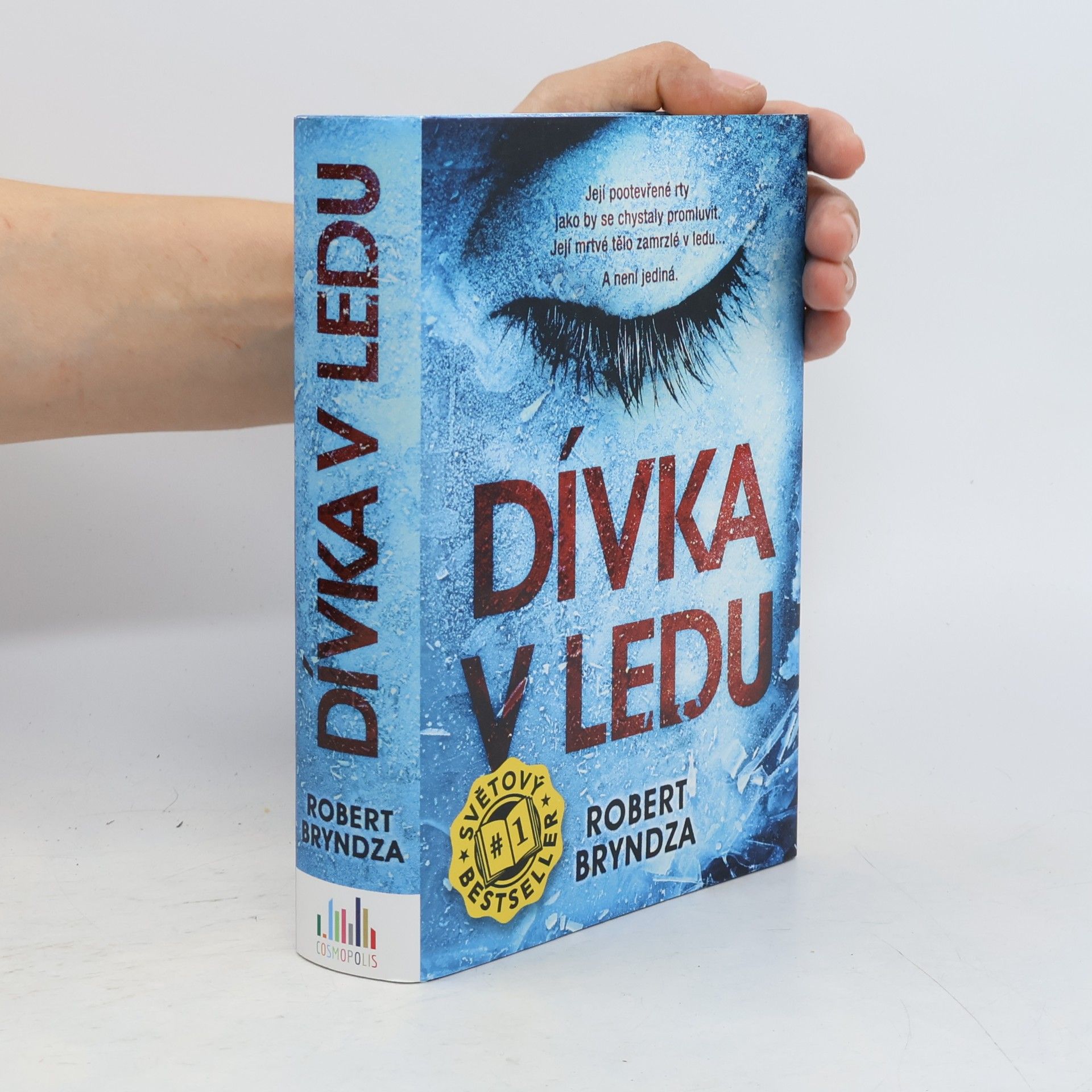 Robert Bryndza Dívka v ledu