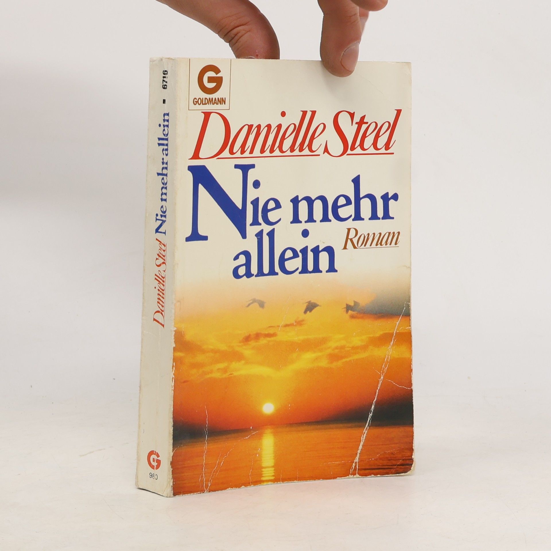 Danielle Steel Nie mehr allein
